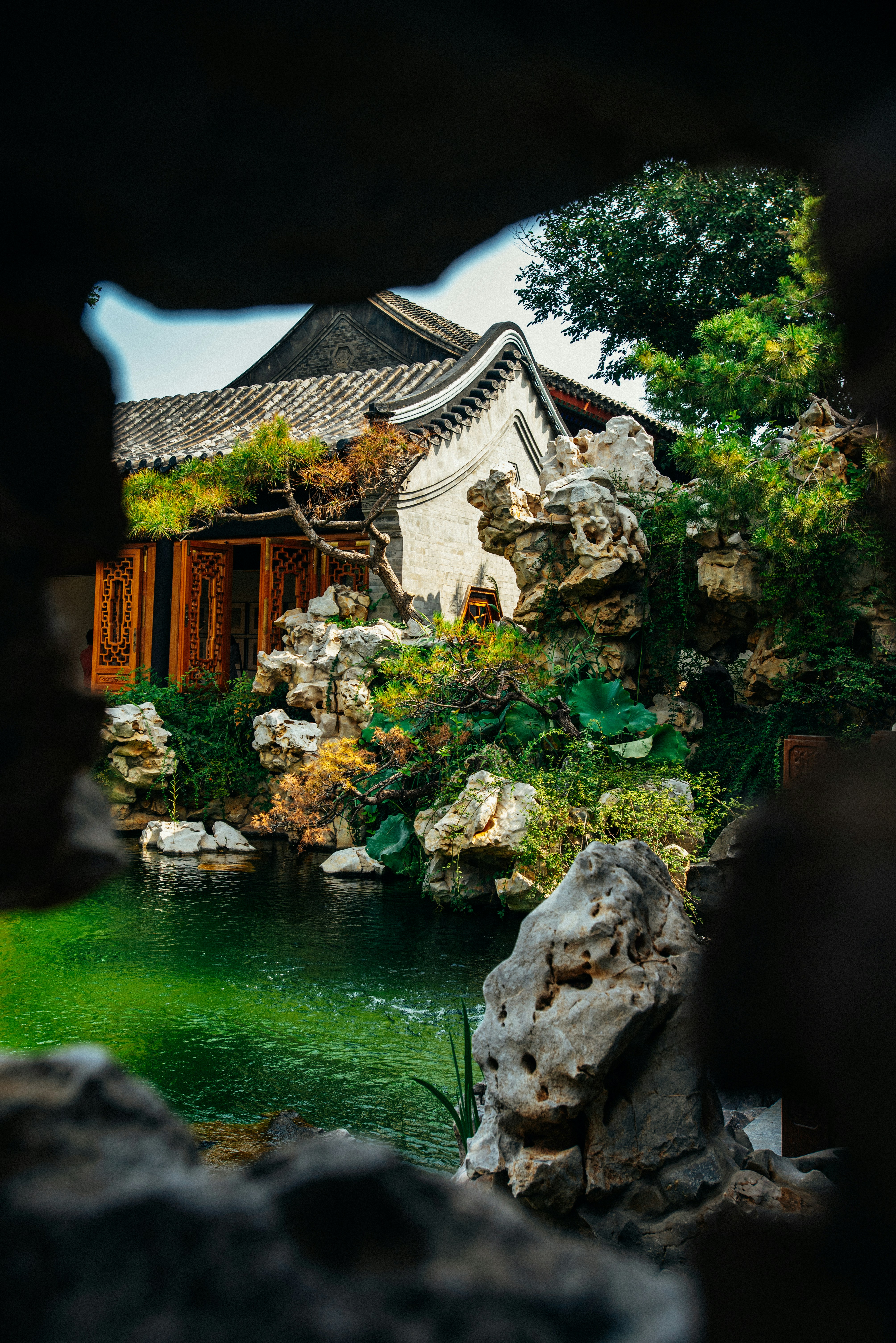 Photo by tommaomaoer