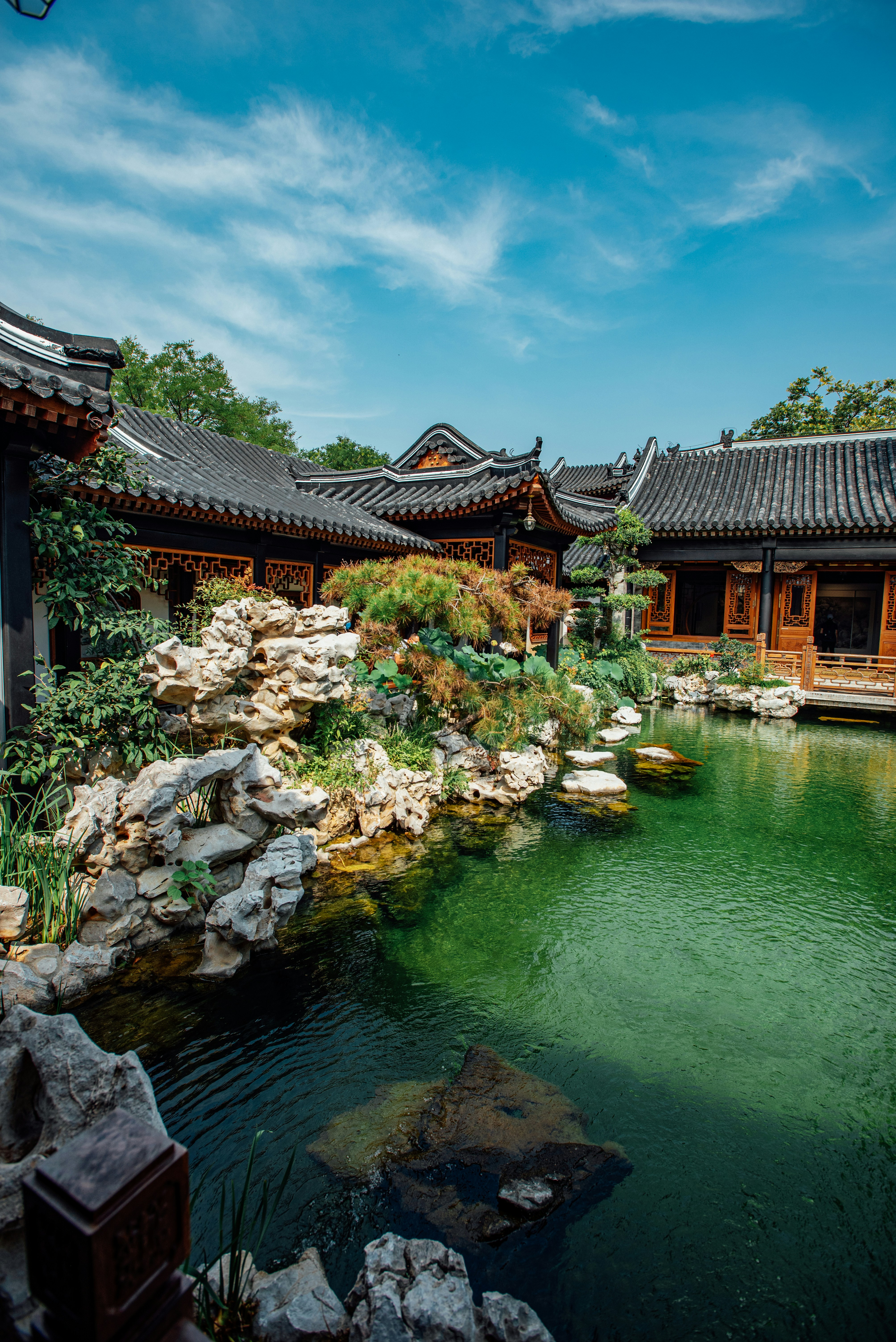 Photo by tommaomaoer