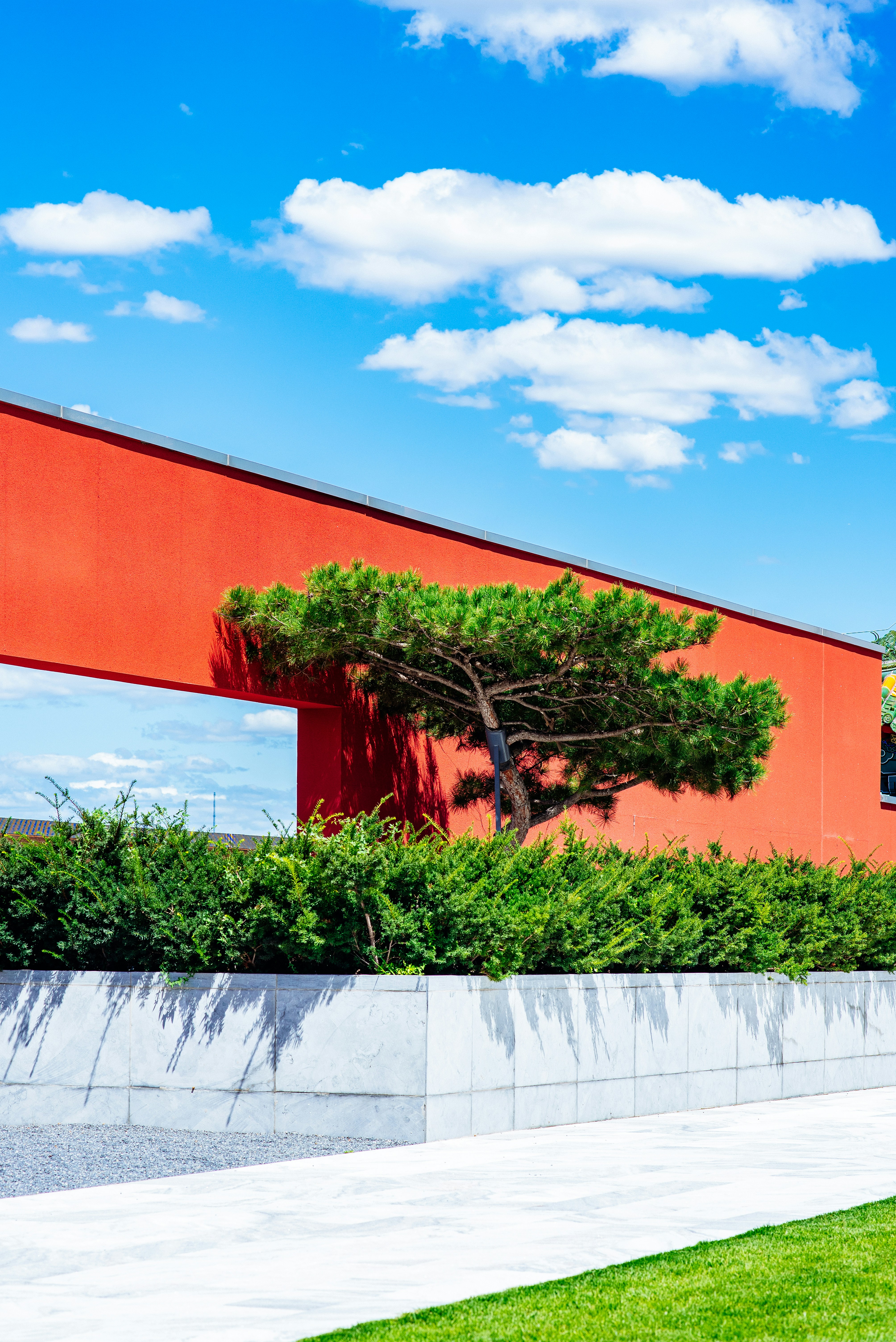 Photo by tommaomaoer