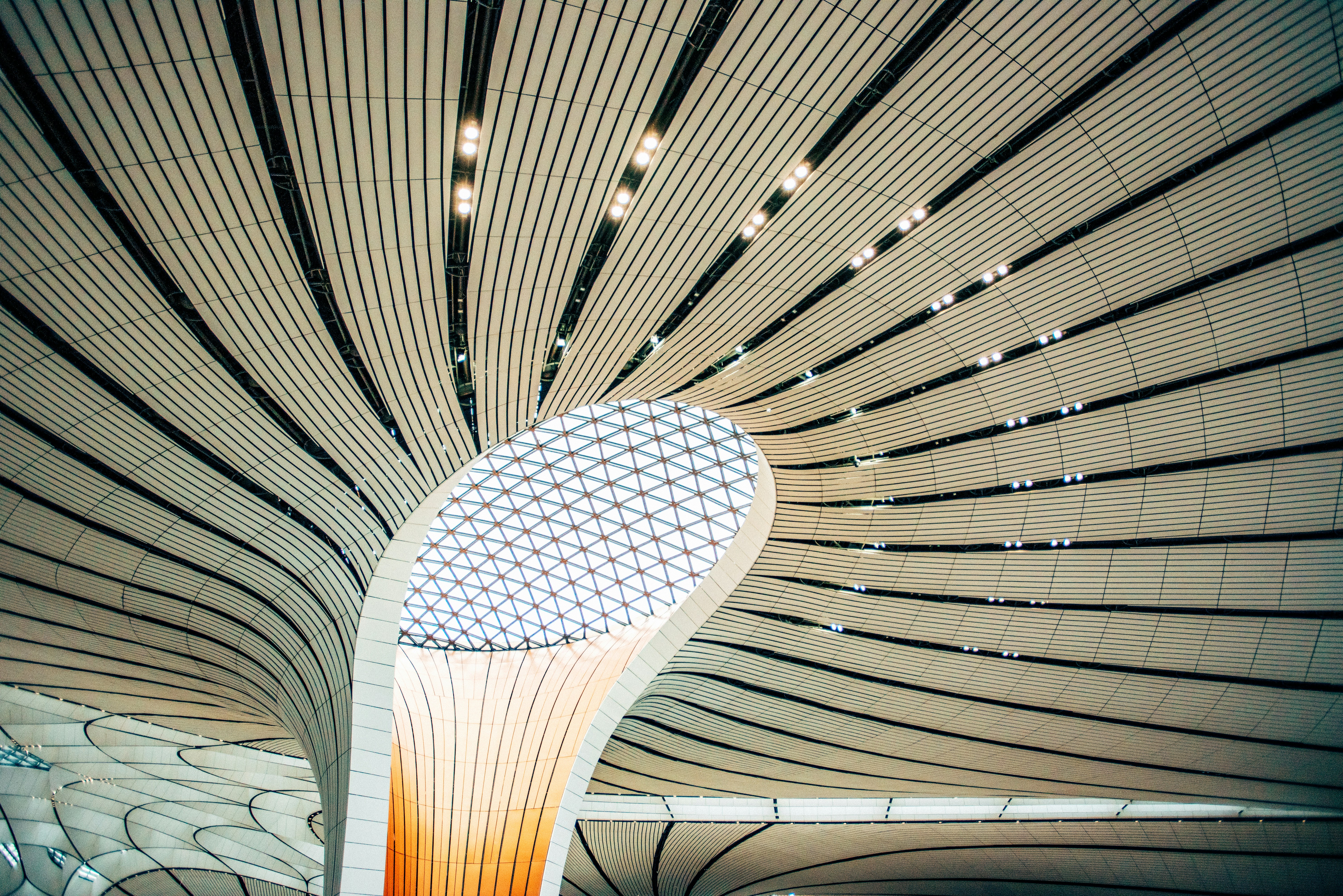 Photo by tommaomaoer