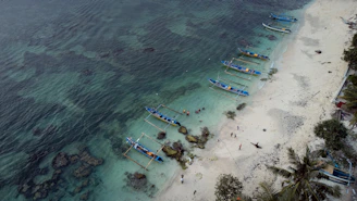 a beach with boats and people