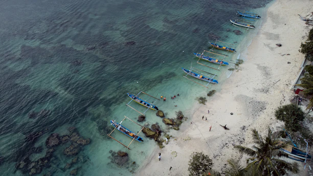 a beach with boats and people