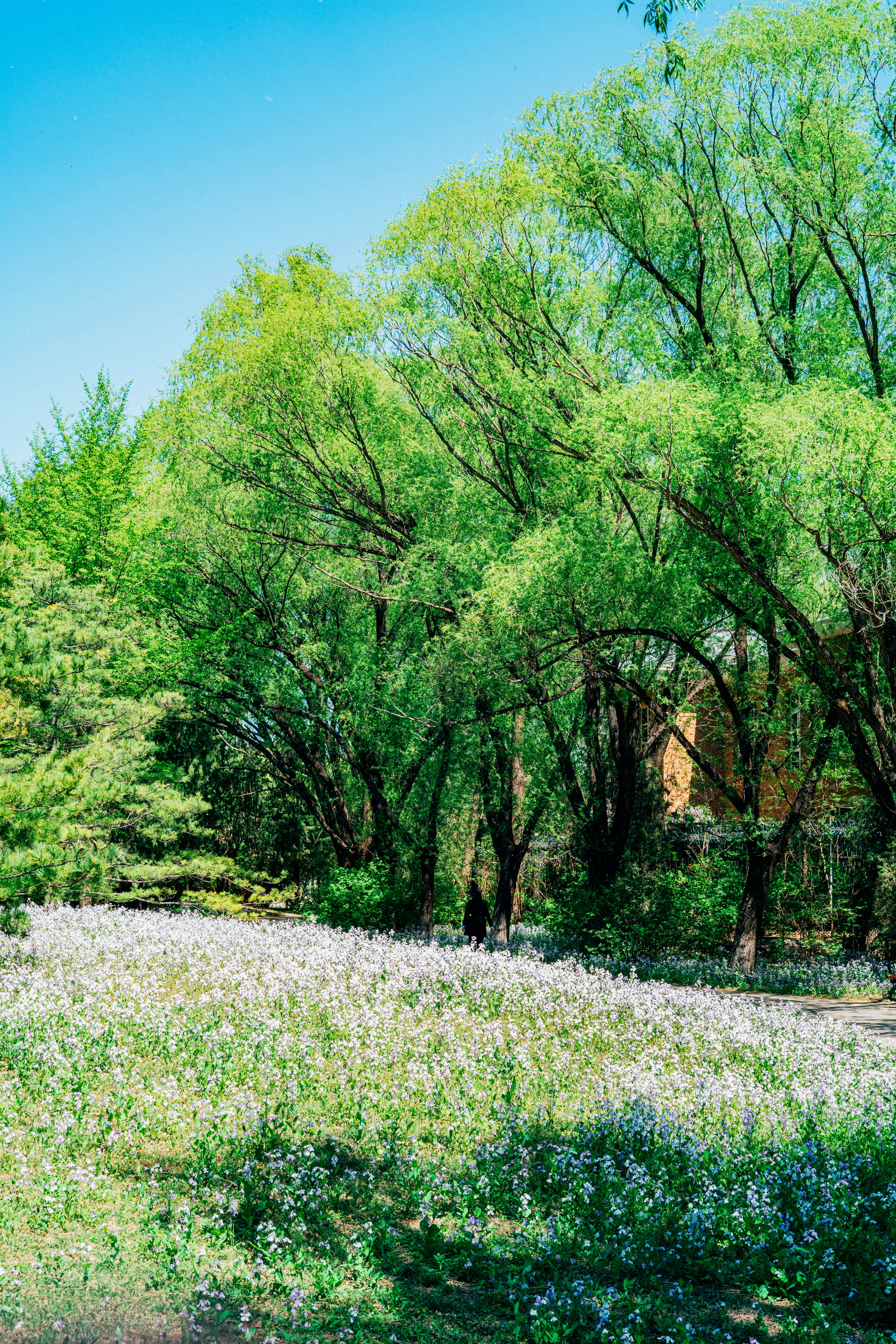 Photo by tommaomaoer