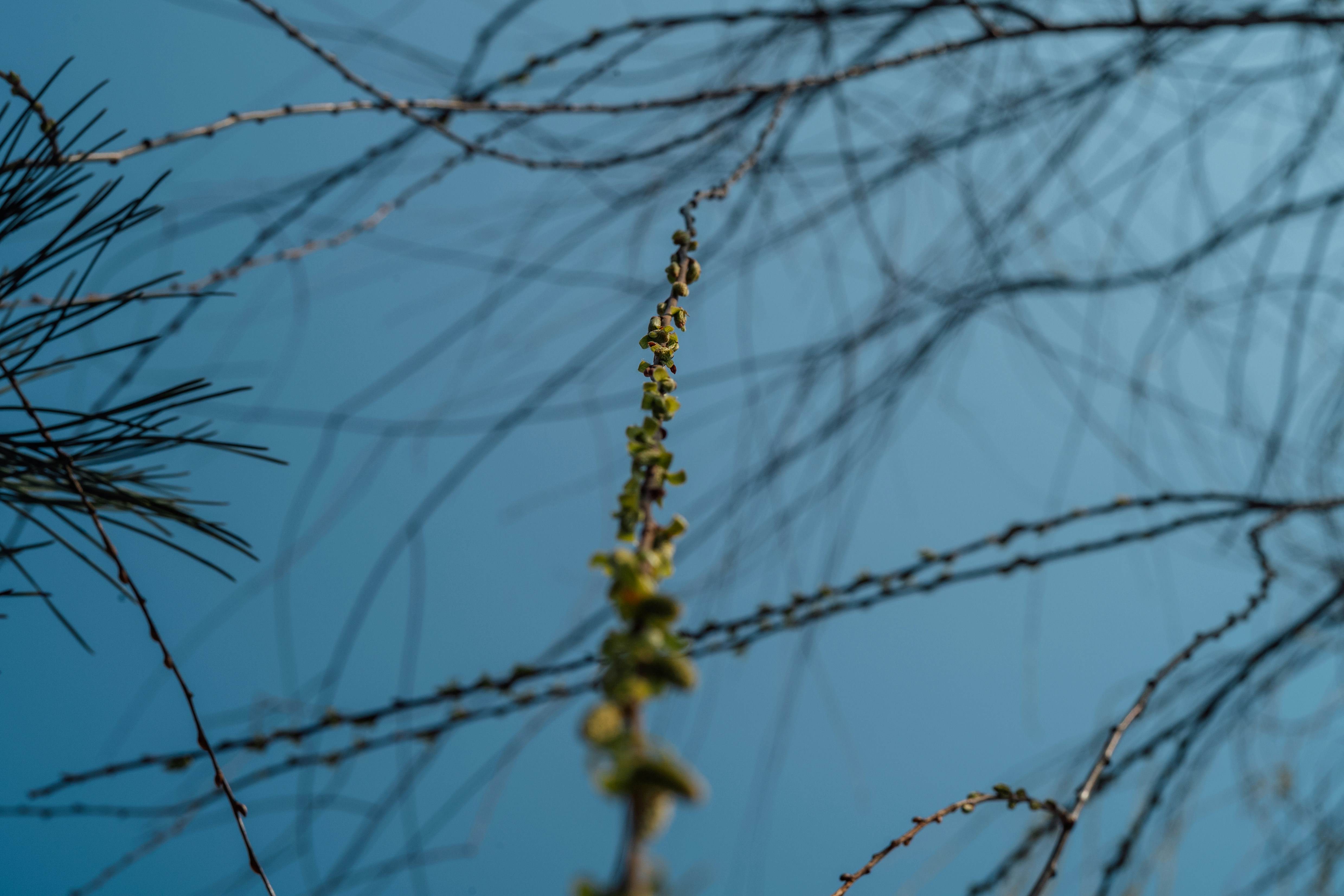 Photo by tommaomaoer