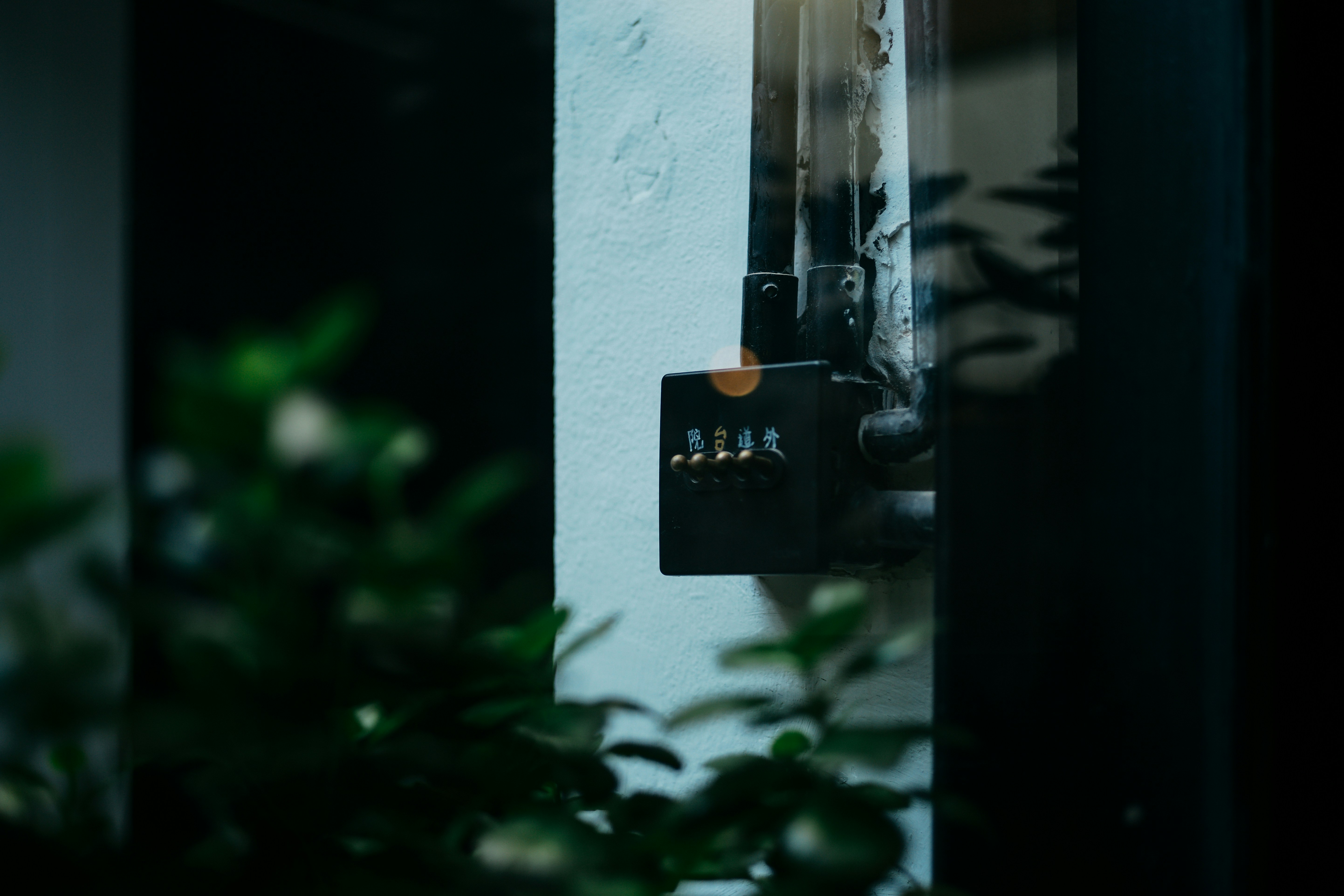 Photo by tommaomaoer