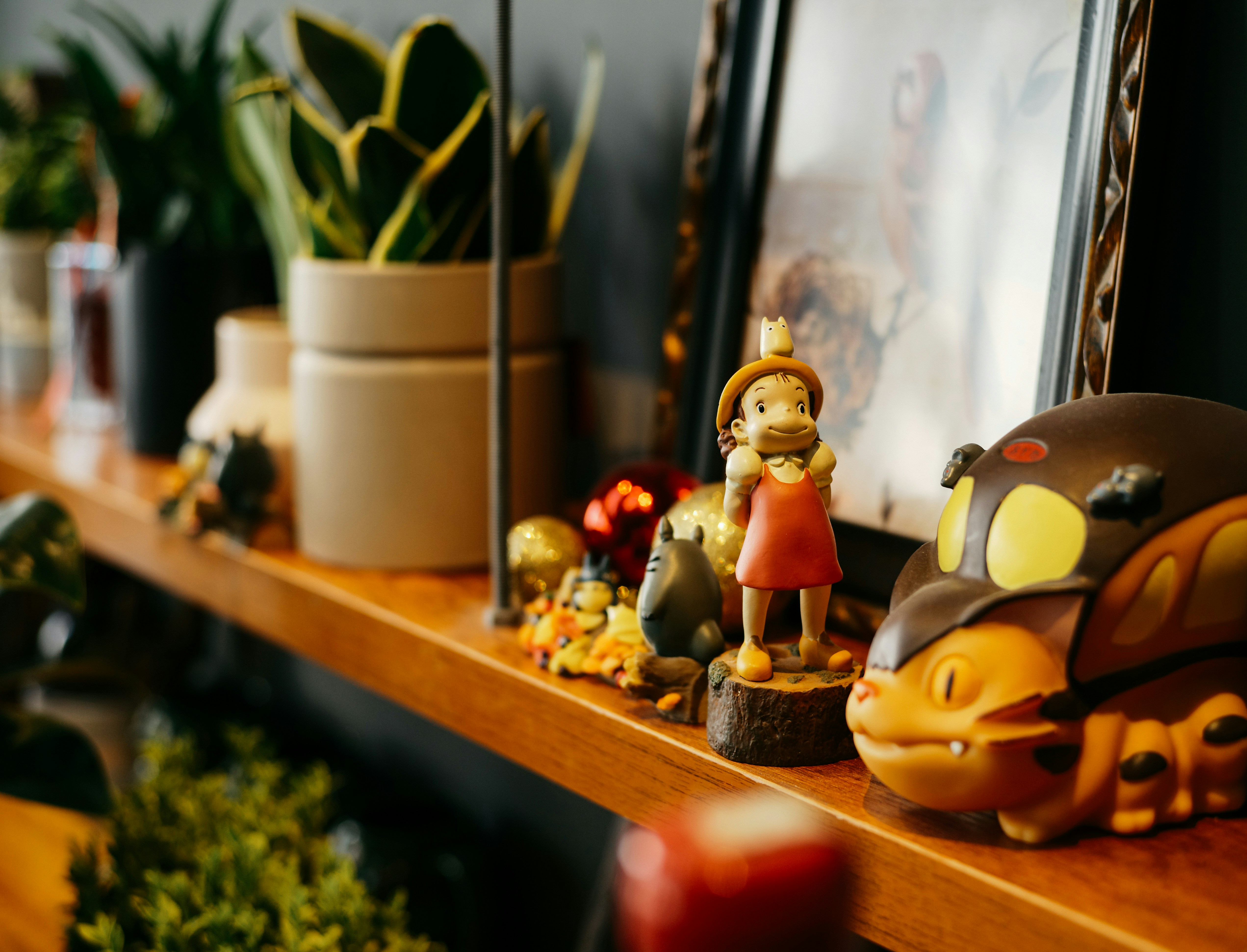 Photo by tommaomaoer