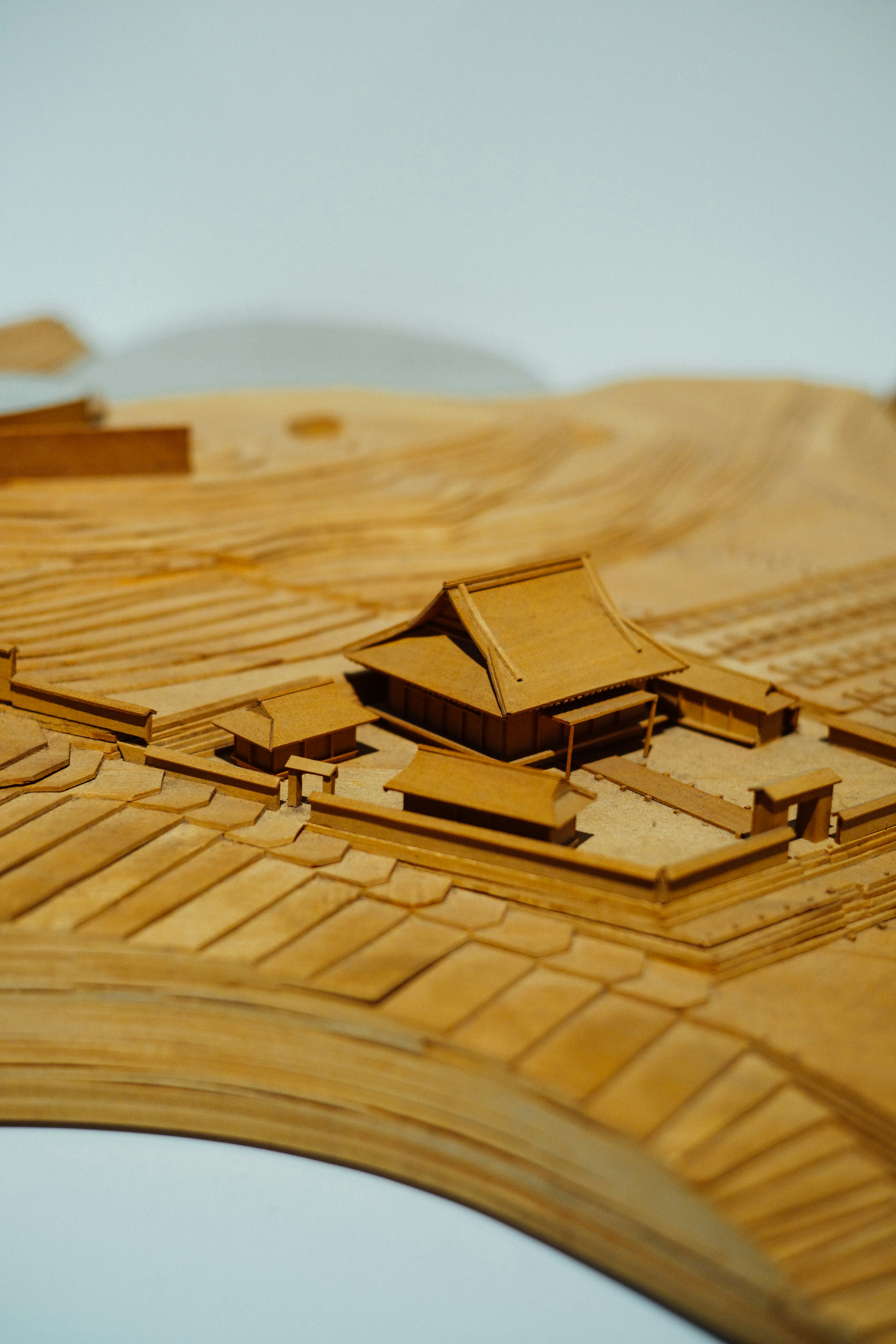 Photo by tommaomaoer