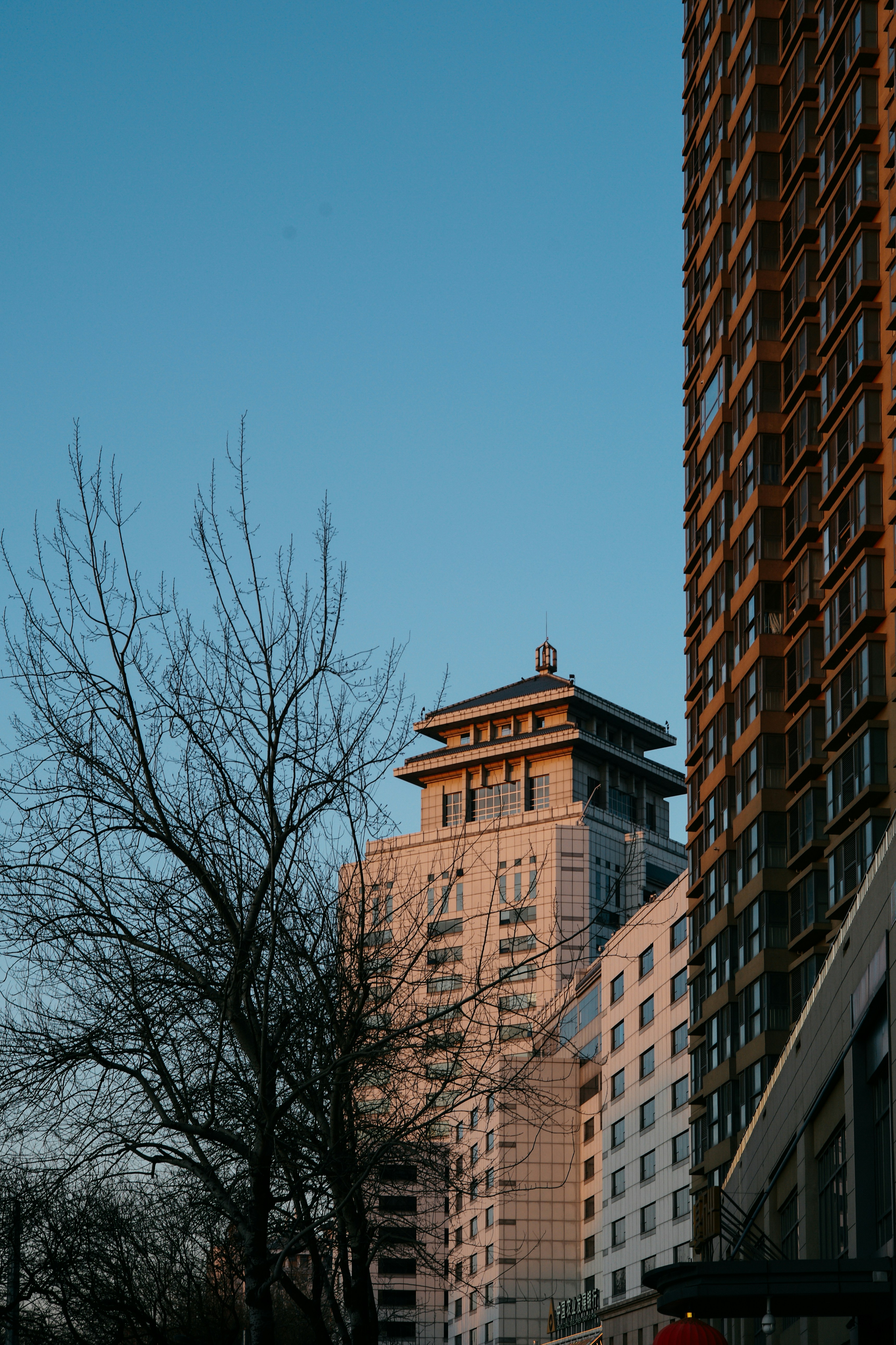 Photo by tommaomaoer