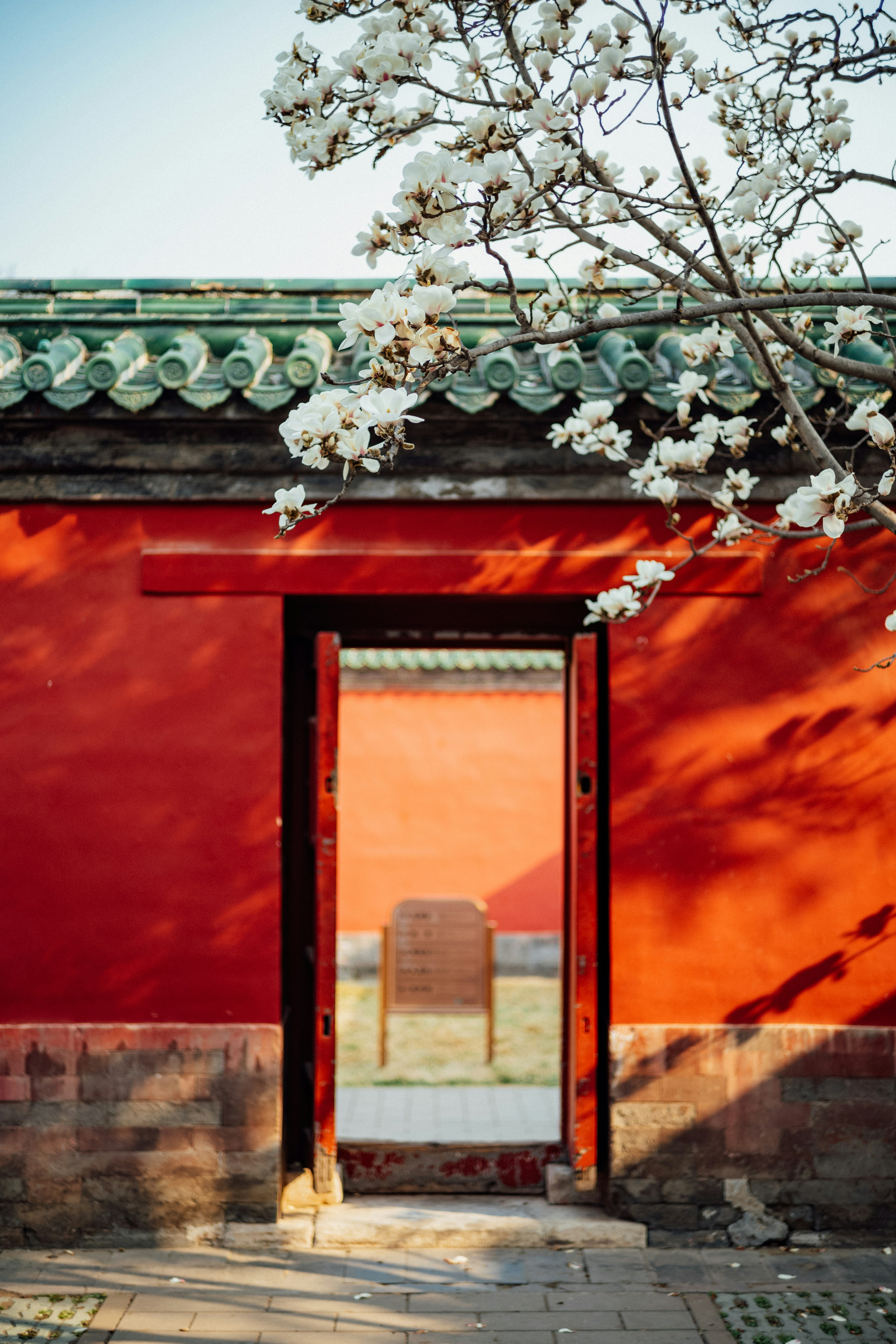 Photo by tommaomaoer