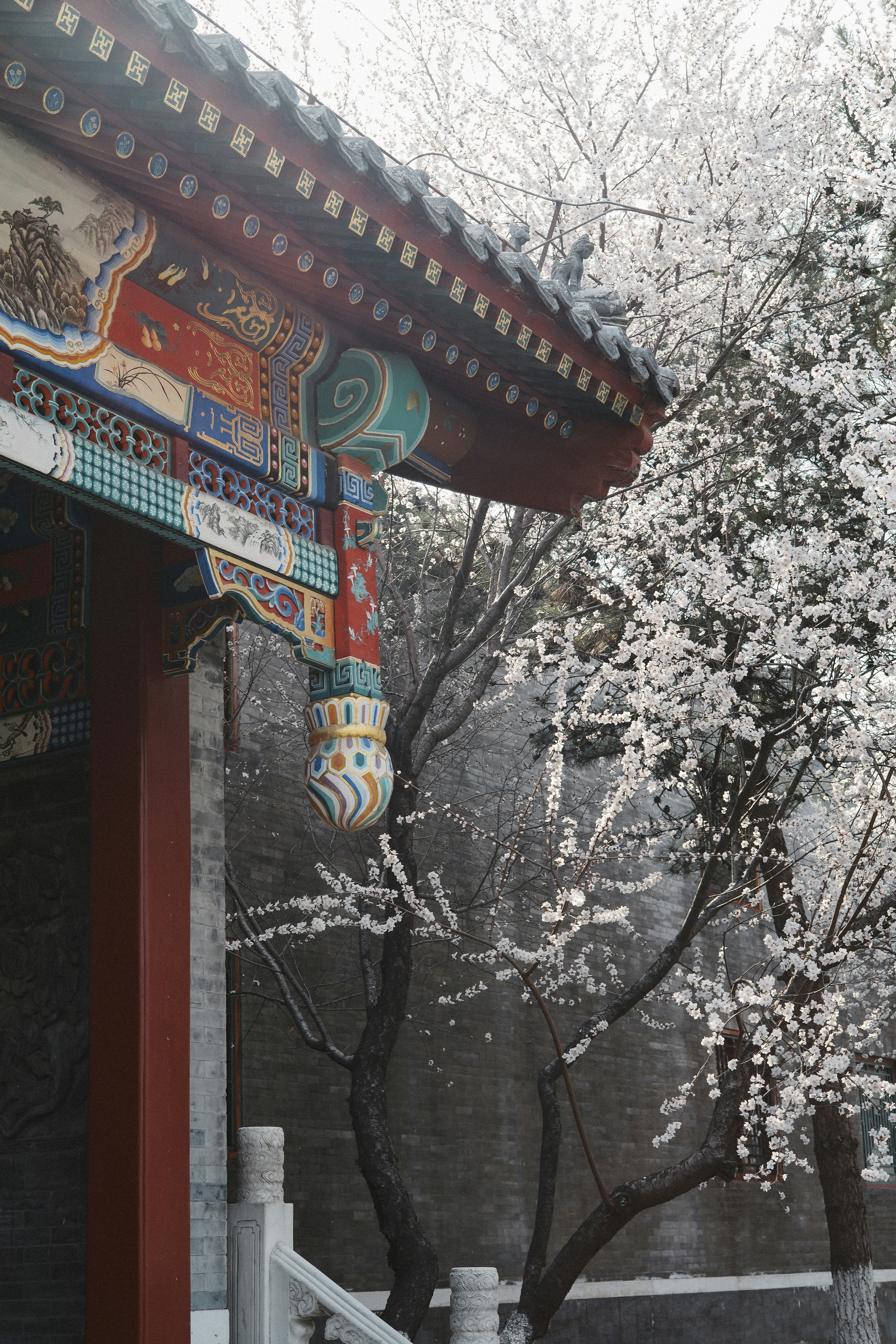 Photo by tommaomaoer