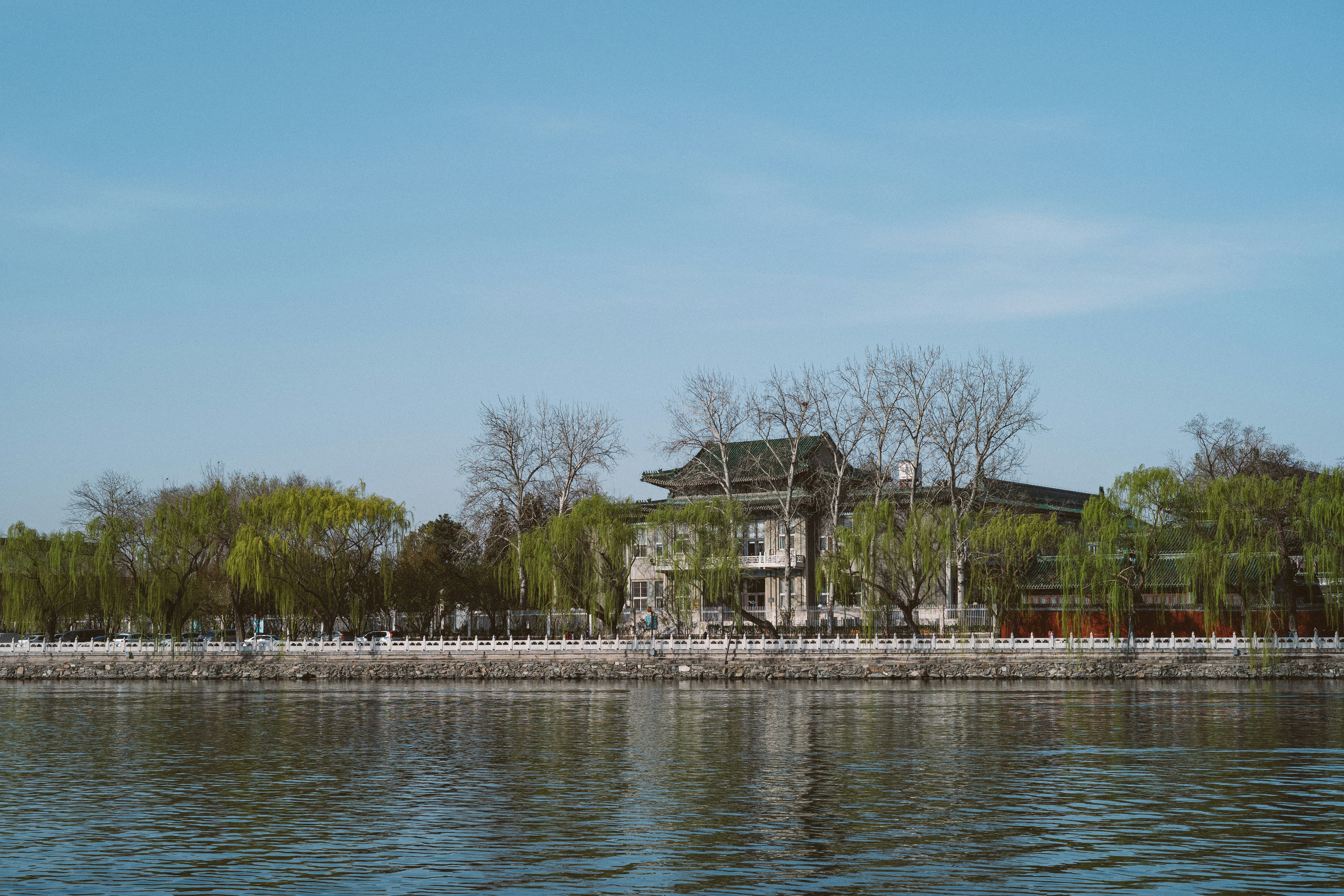 Photo by tommaomaoer