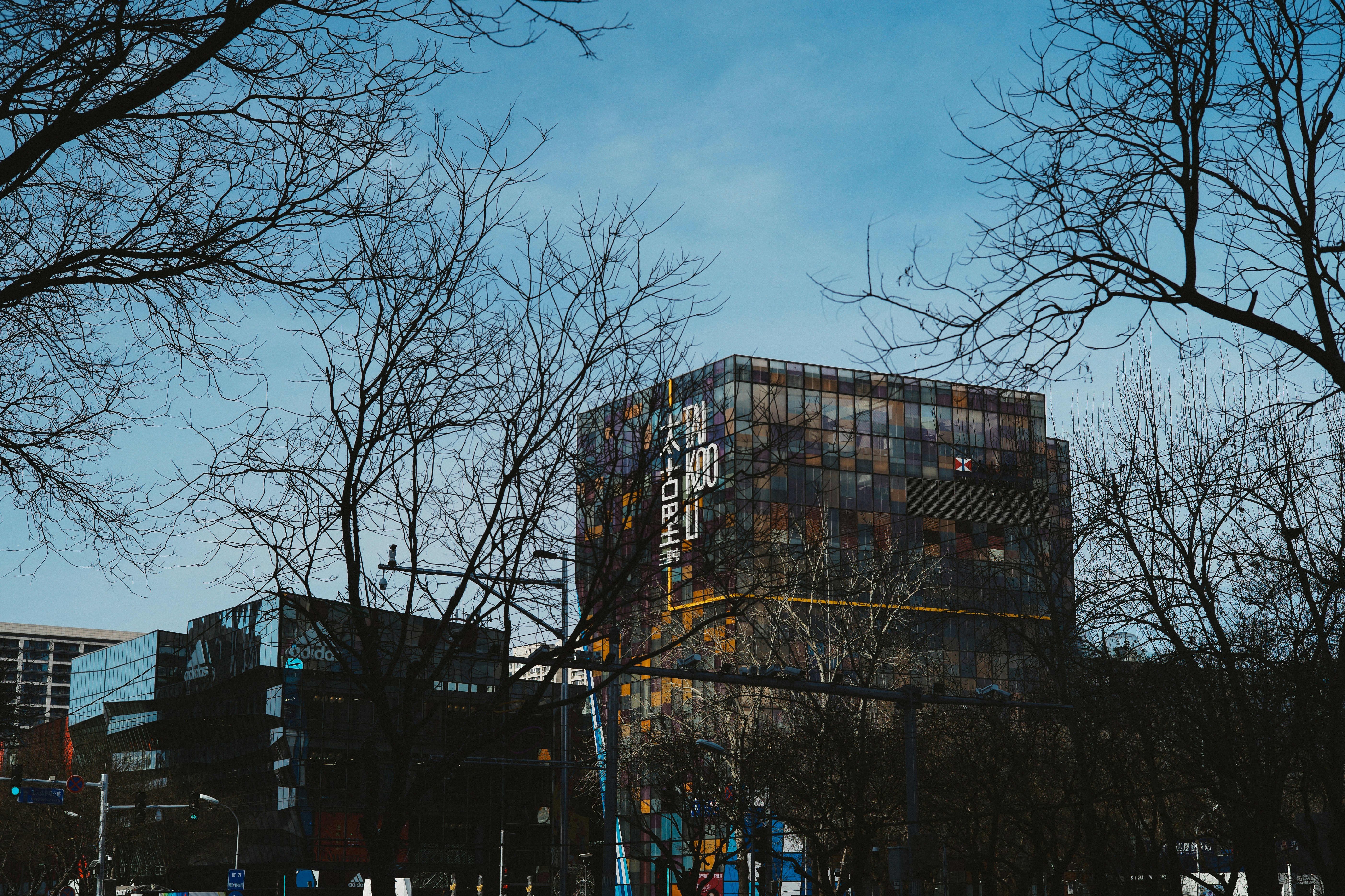 Photo by tommaomaoer