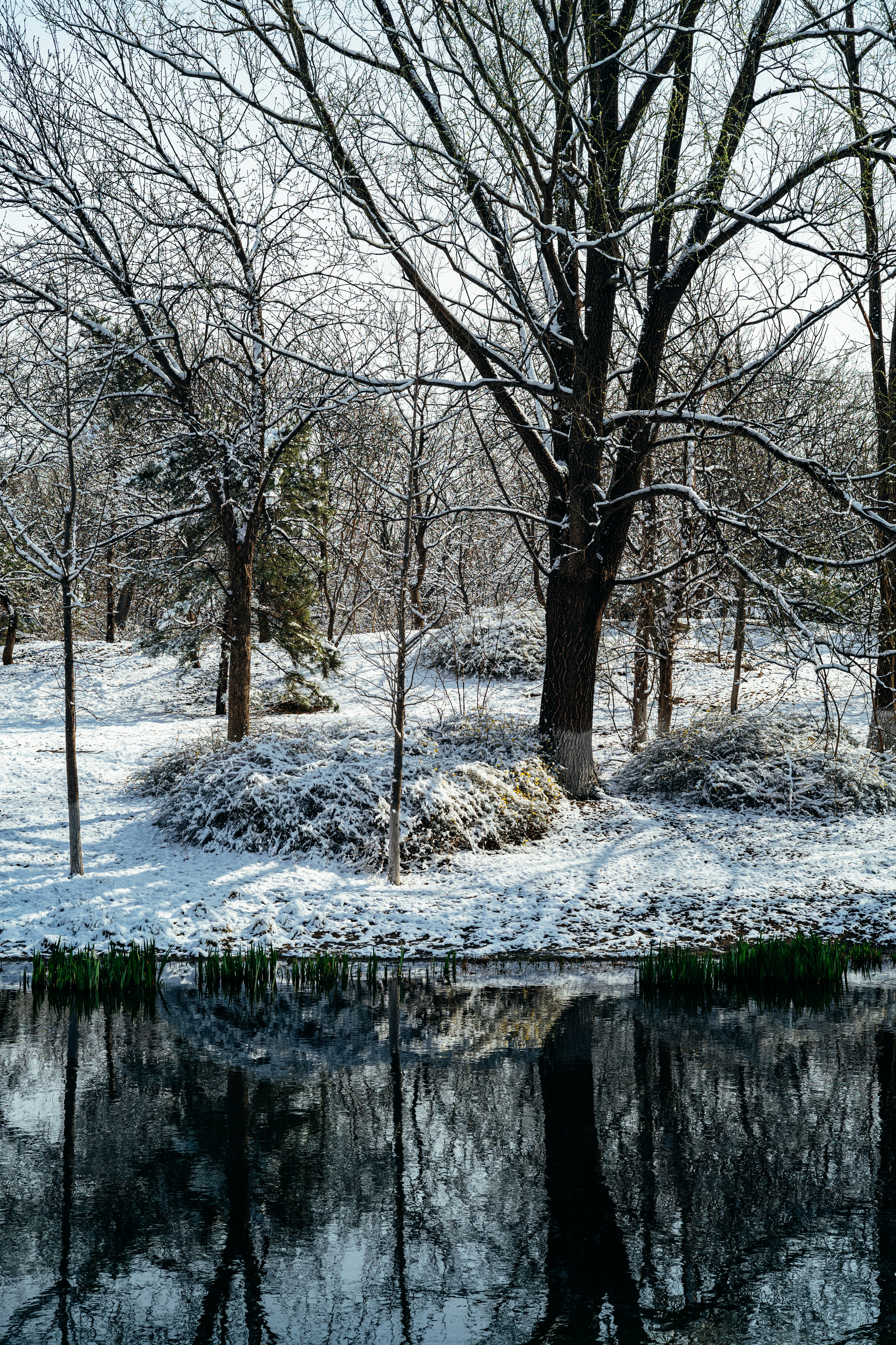 Photo by tommaomaoer