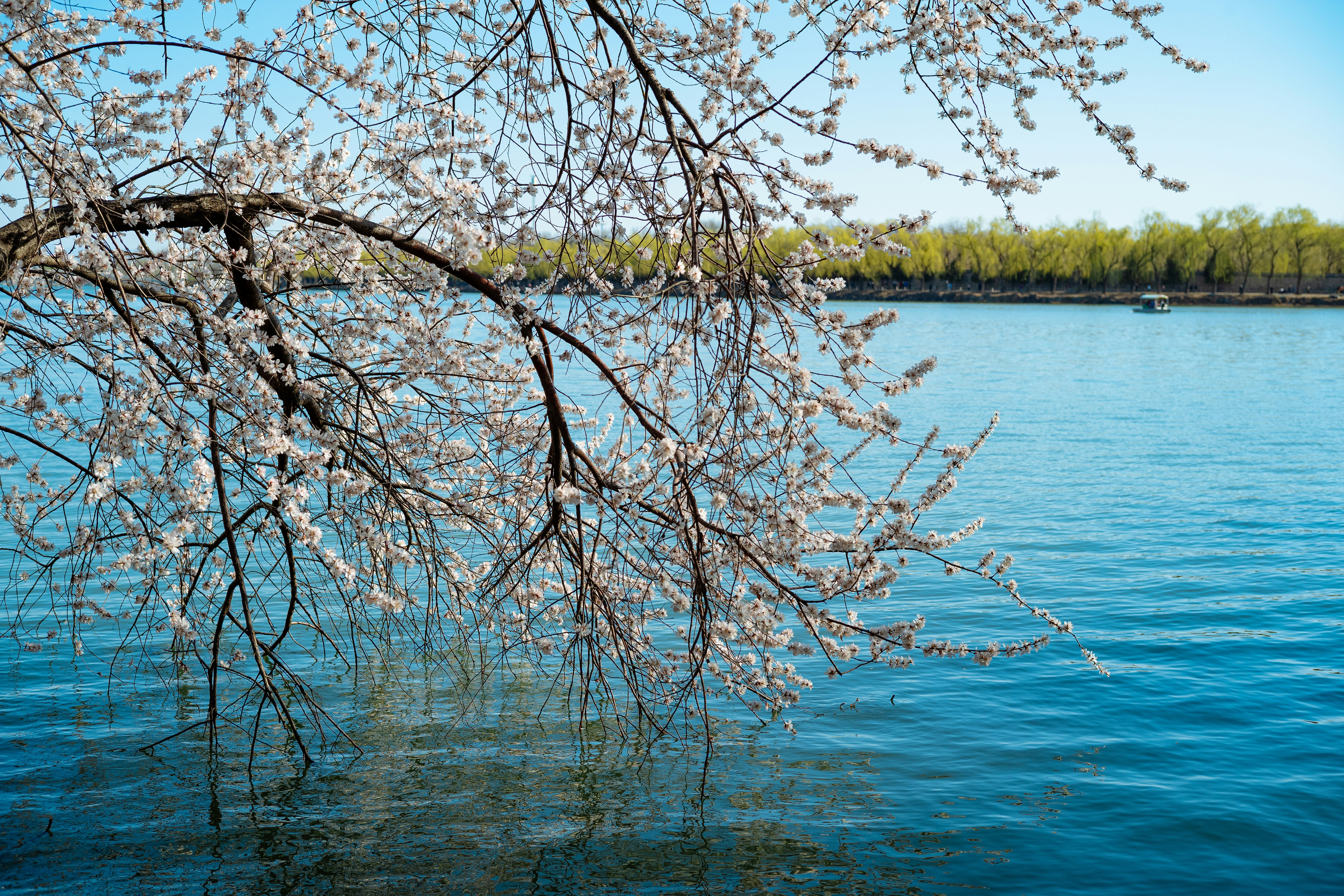 Photo by tommaomaoer