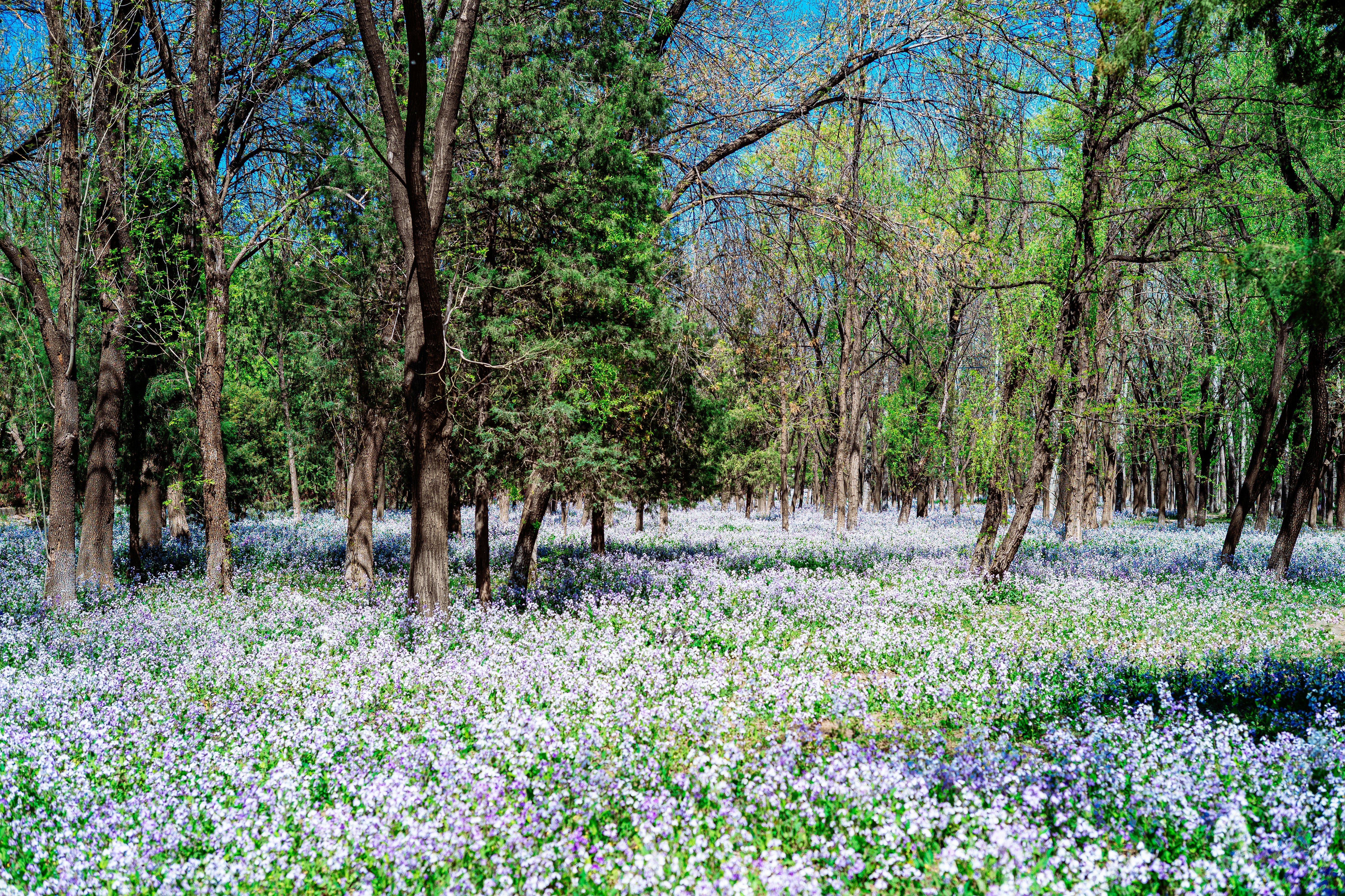 Photo by tommaomaoer