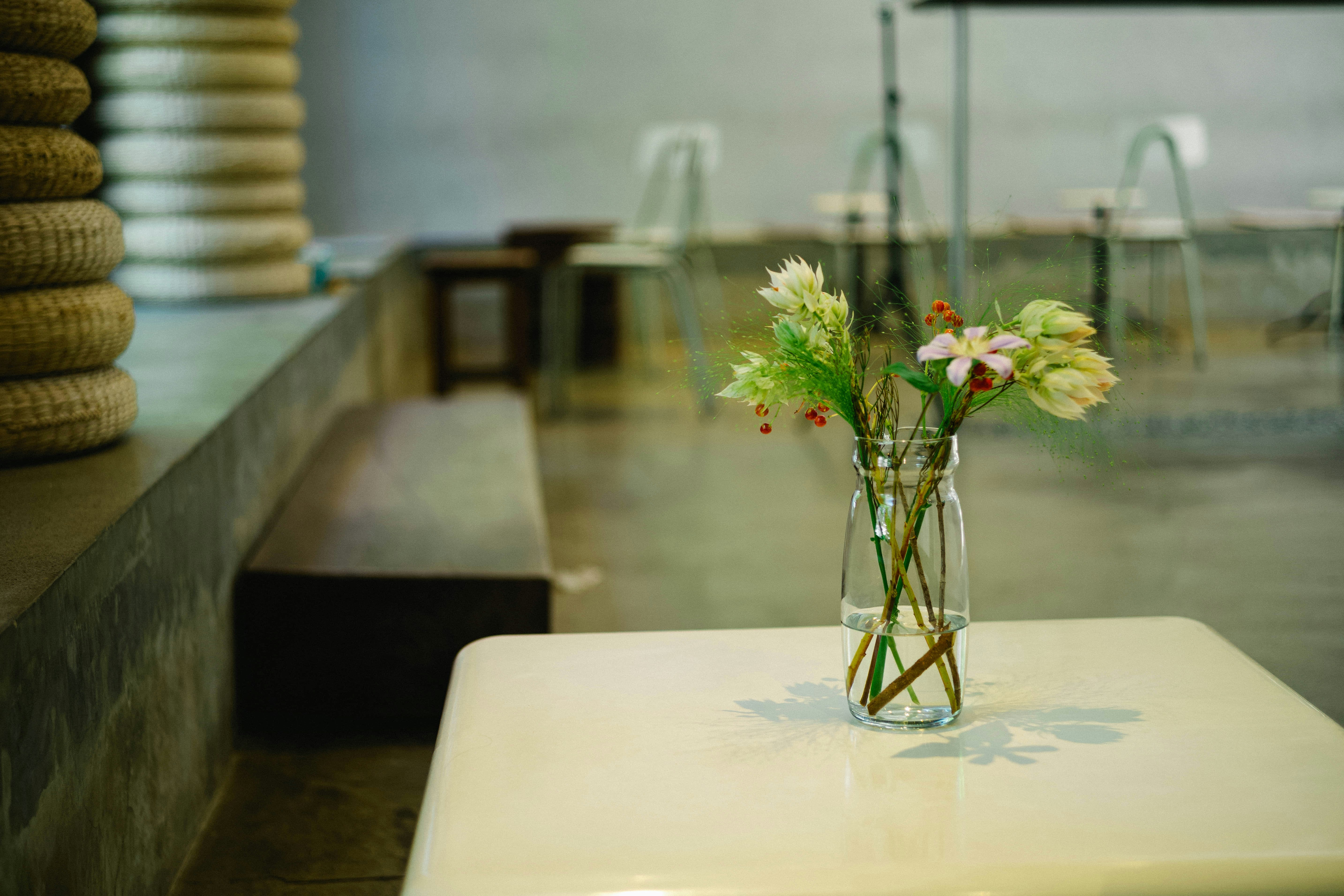 Photo by tommaomaoer