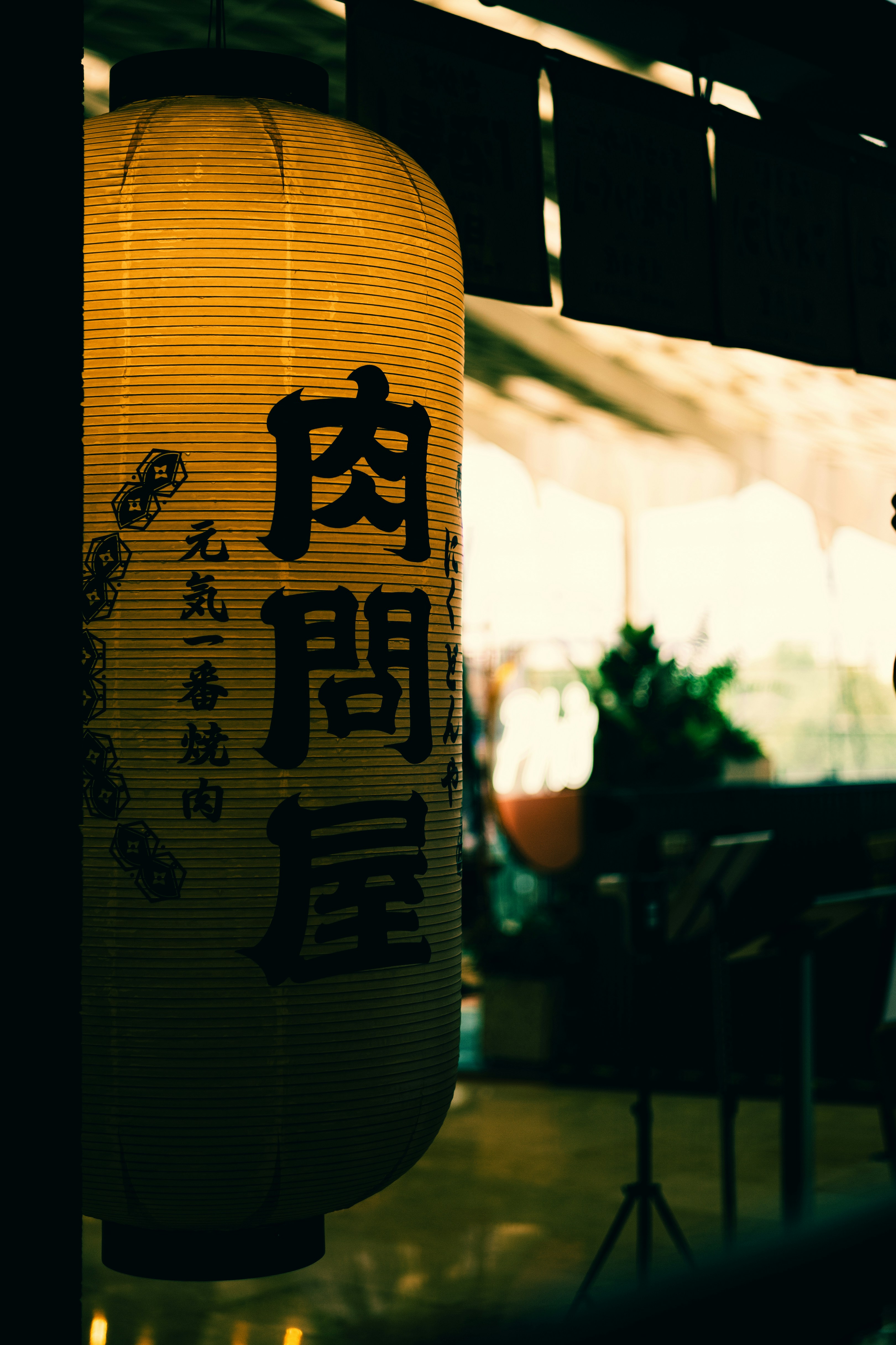 Photo by tommaomaoer