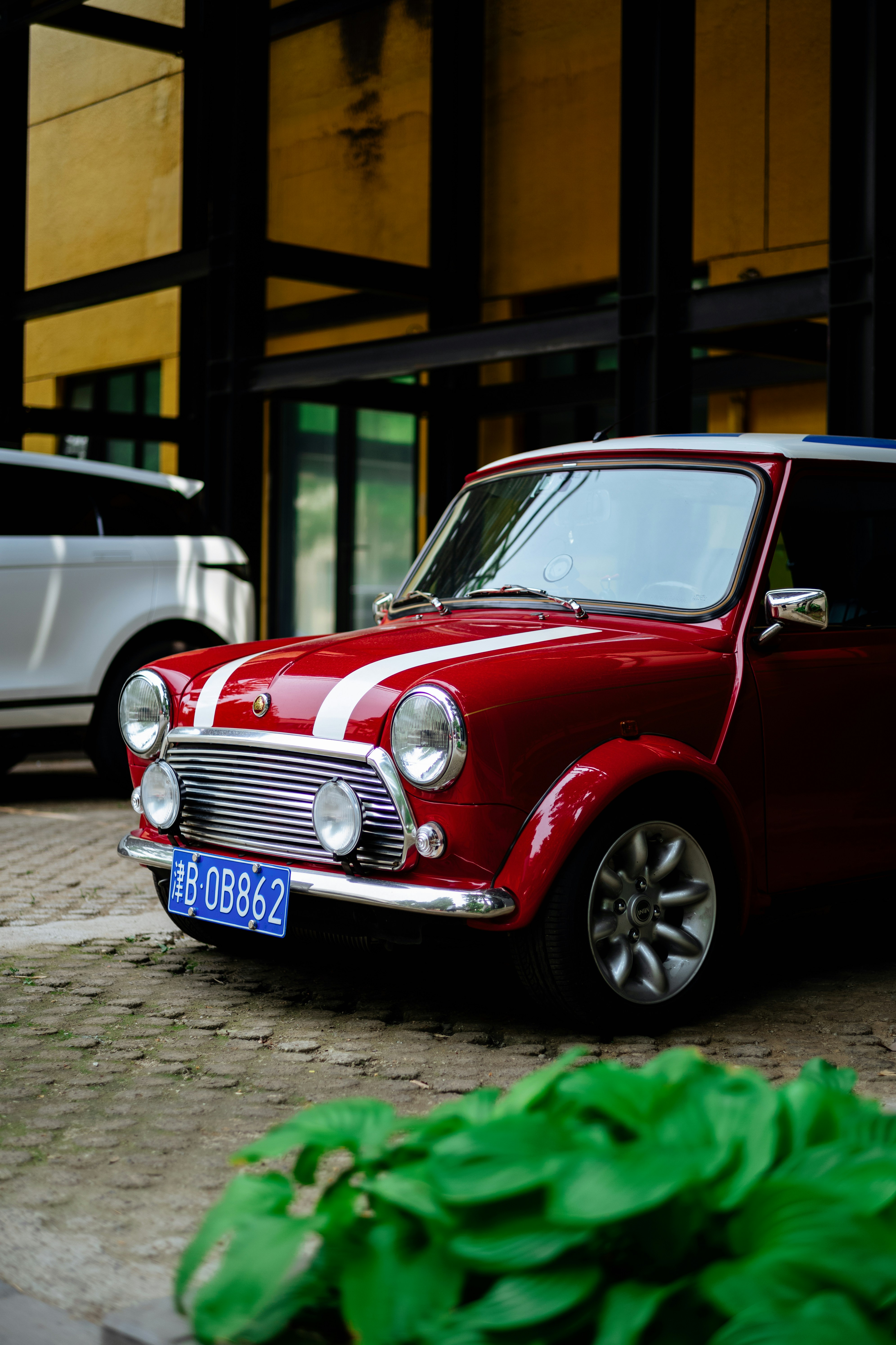 Photo by tommaomaoer