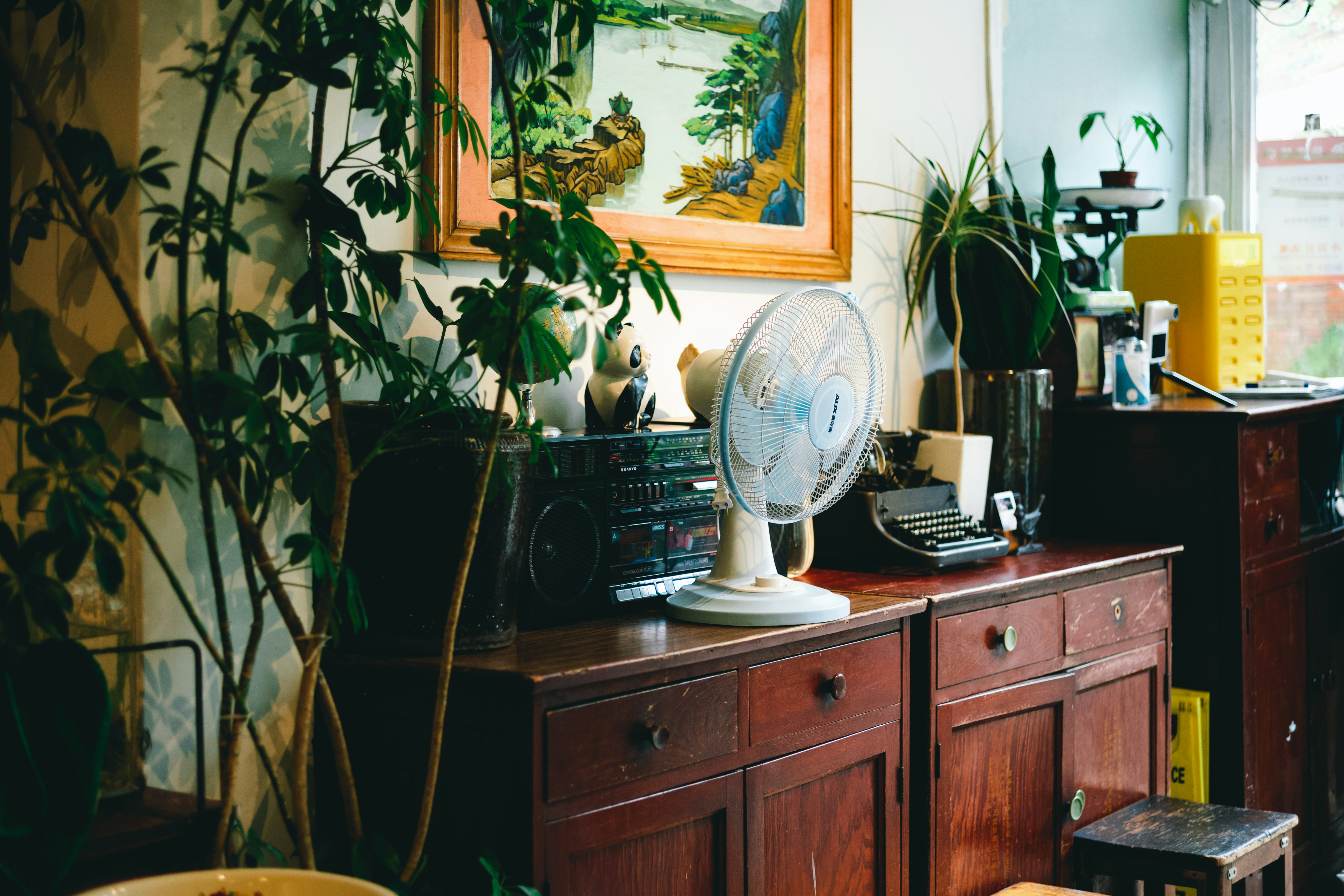 Photo by tommaomaoer