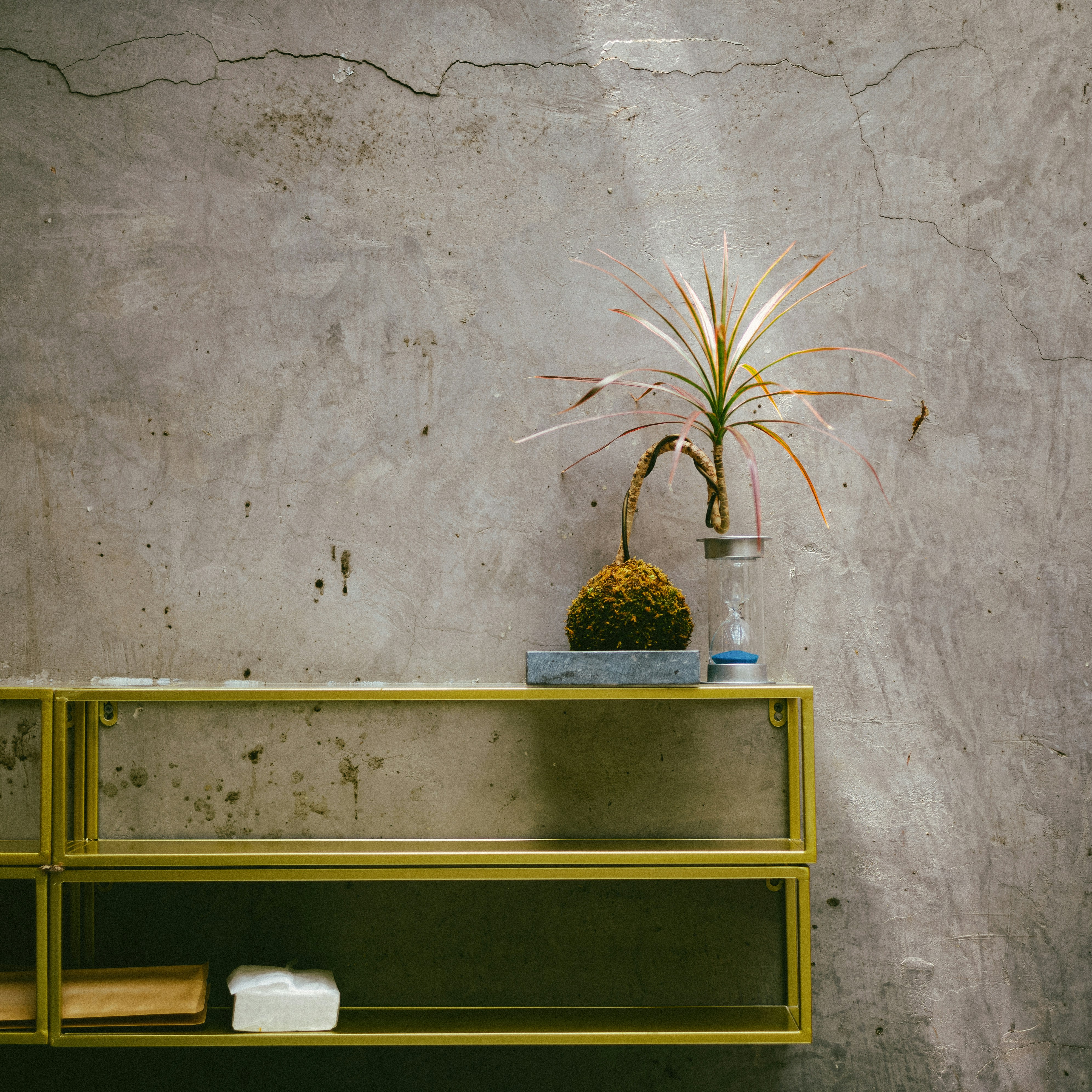 Photo by tommaomaoer