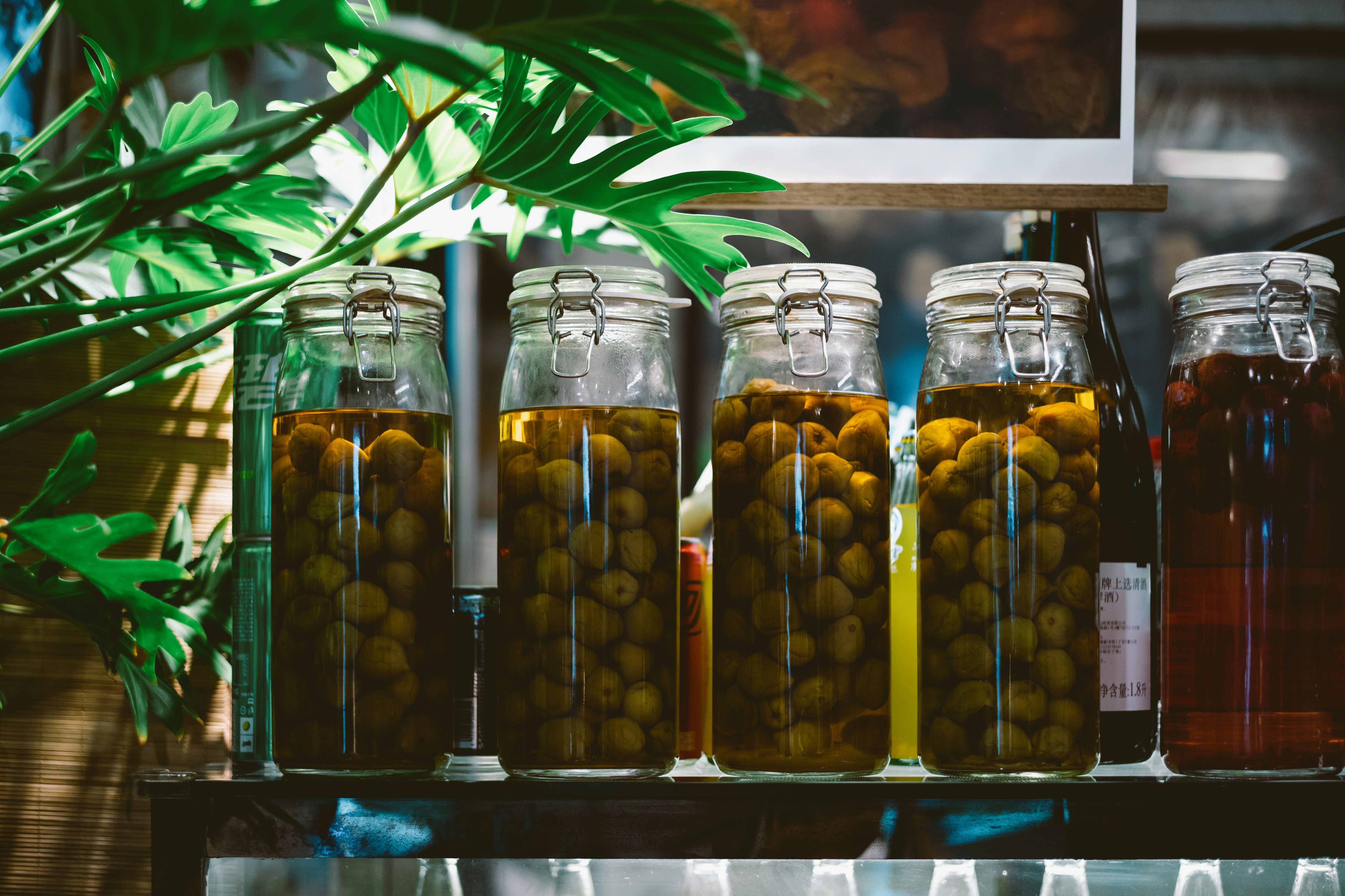 Photo by tommaomaoer