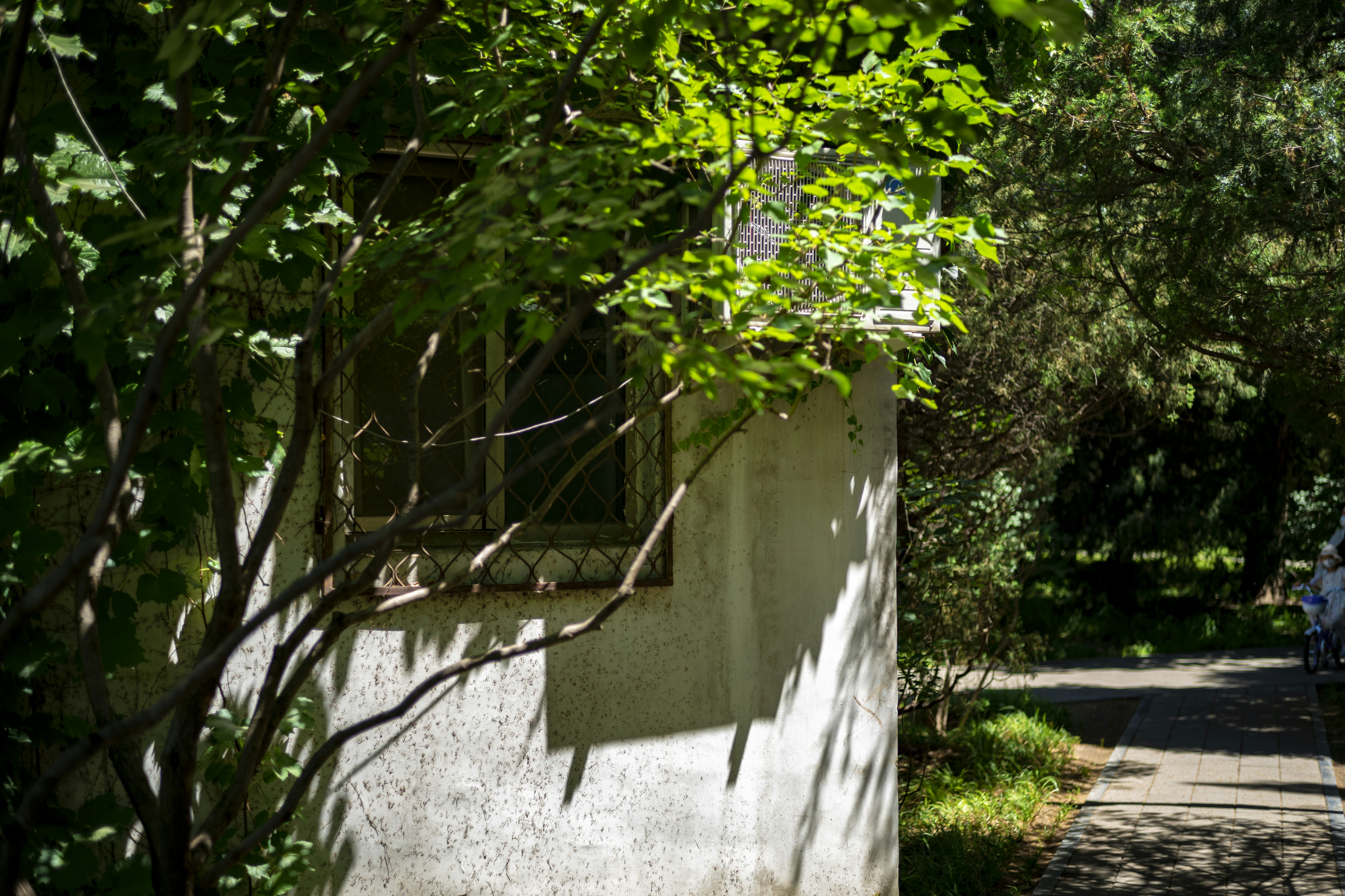 Photo by tommaomaoer