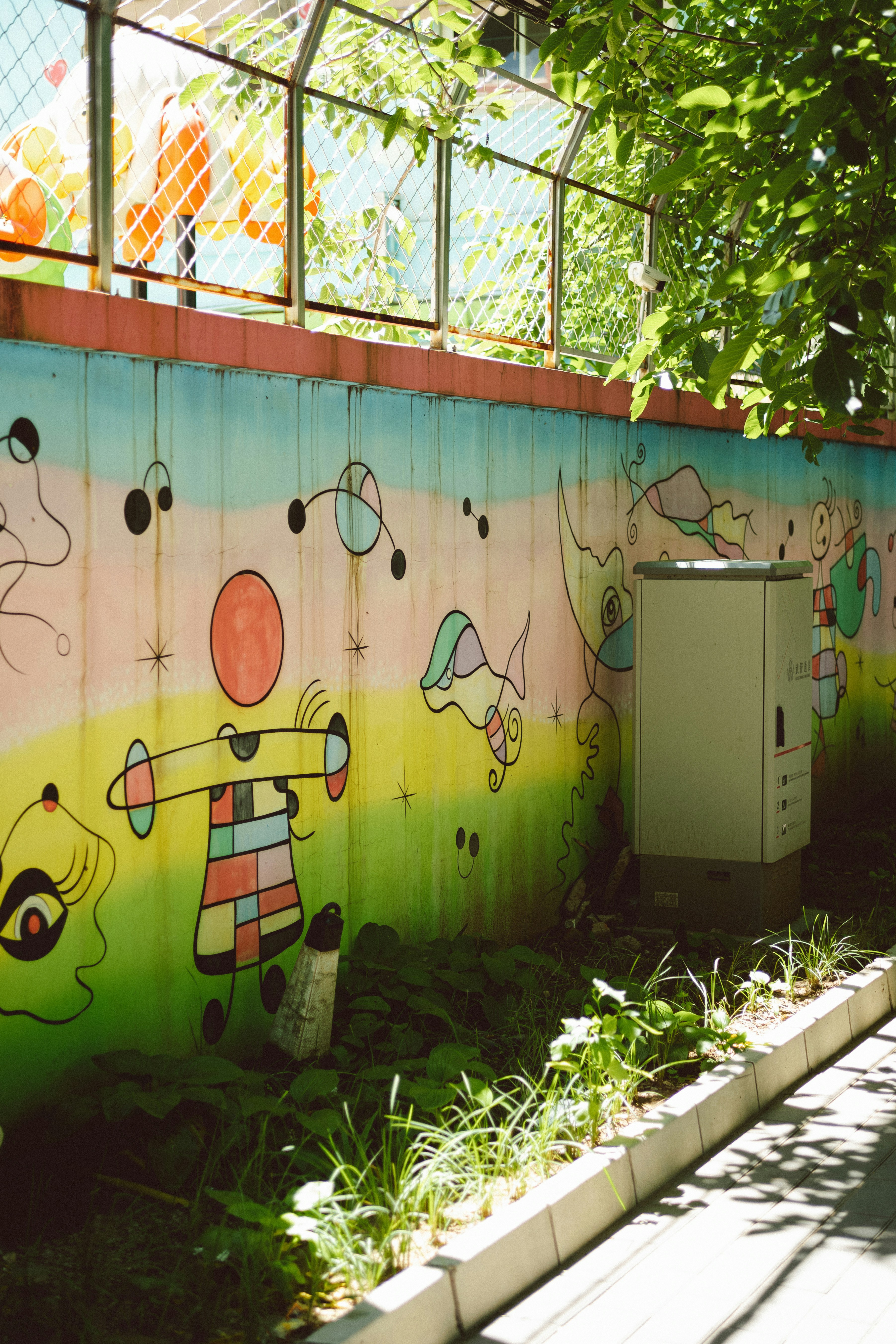 Photo by tommaomaoer