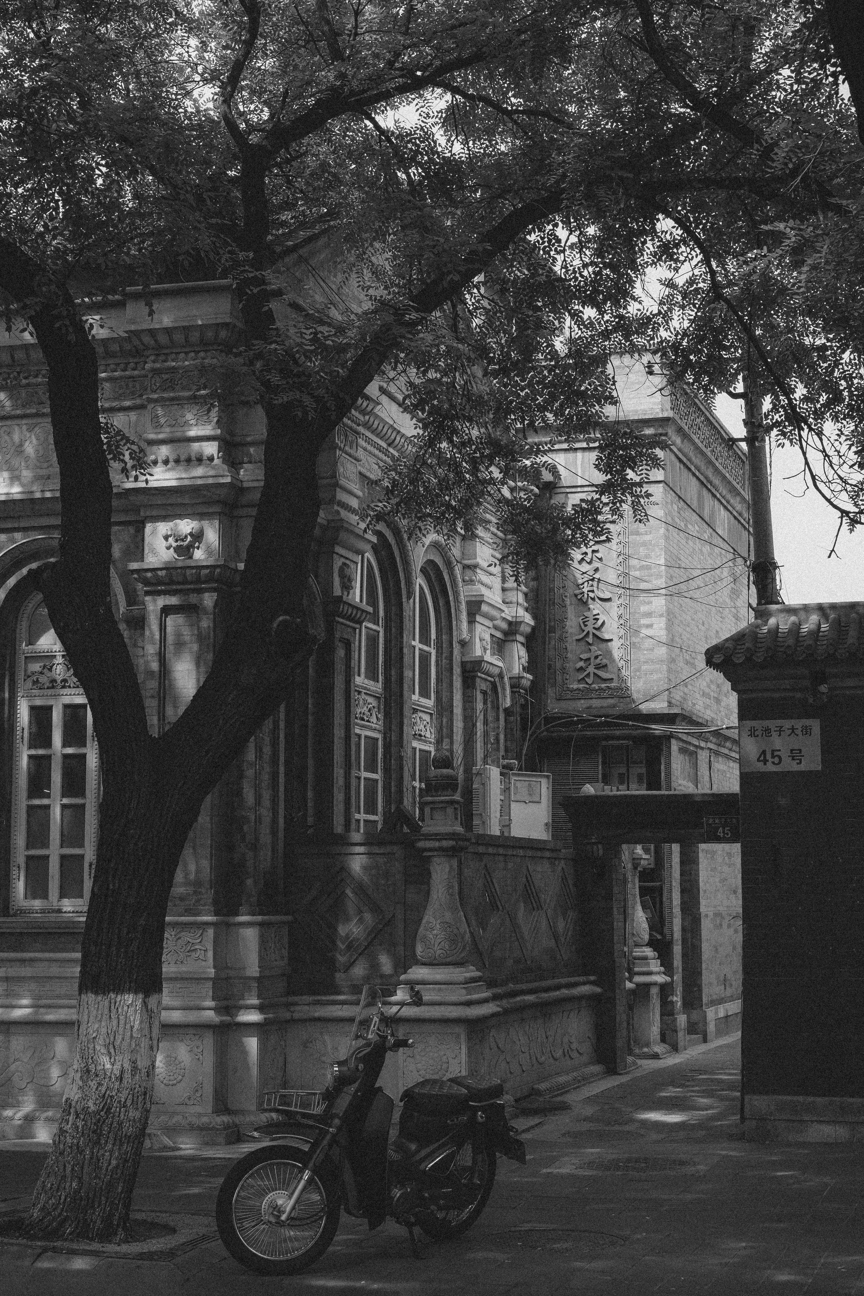 Photo by tommaomaoer