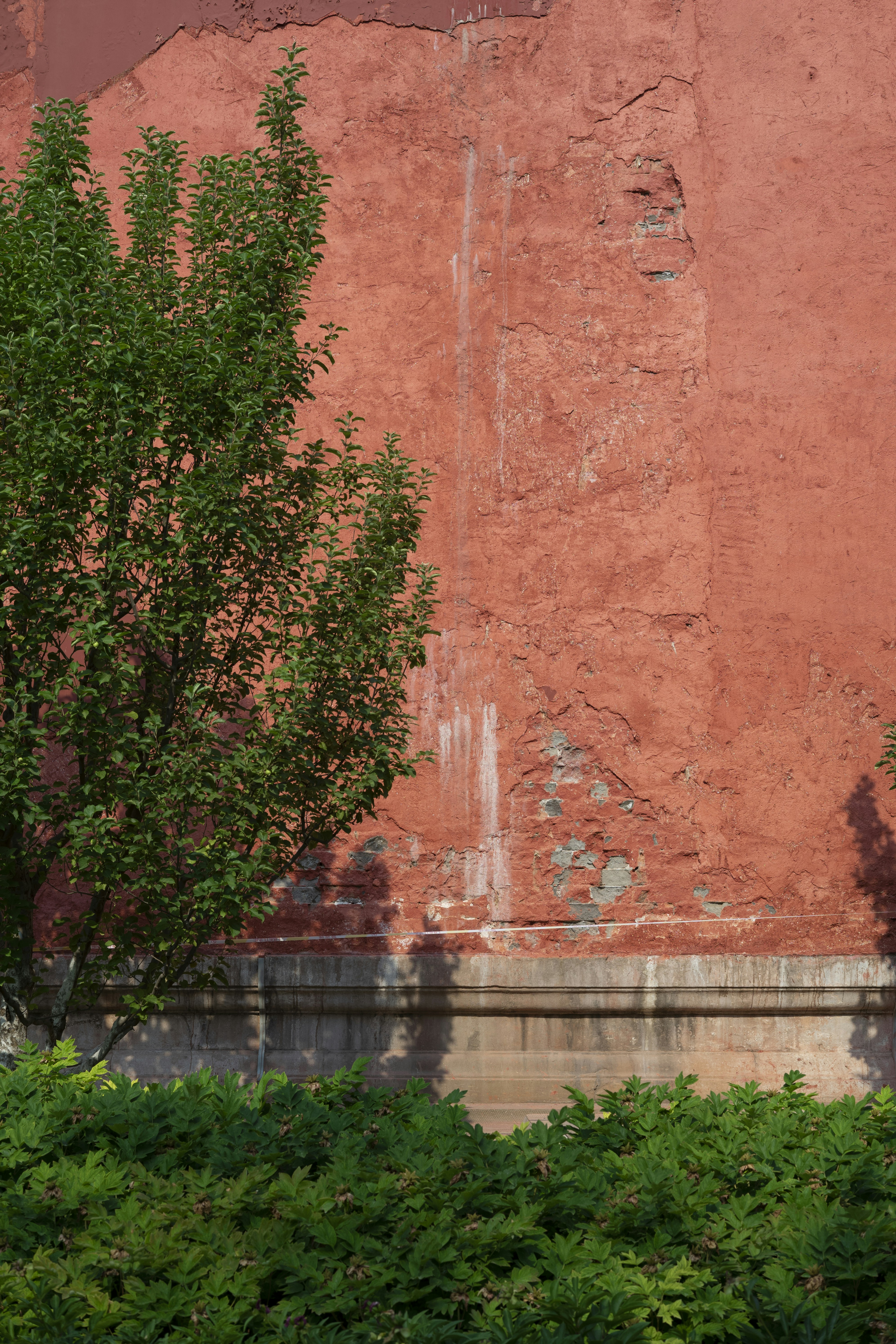 Photo by tommaomaoer