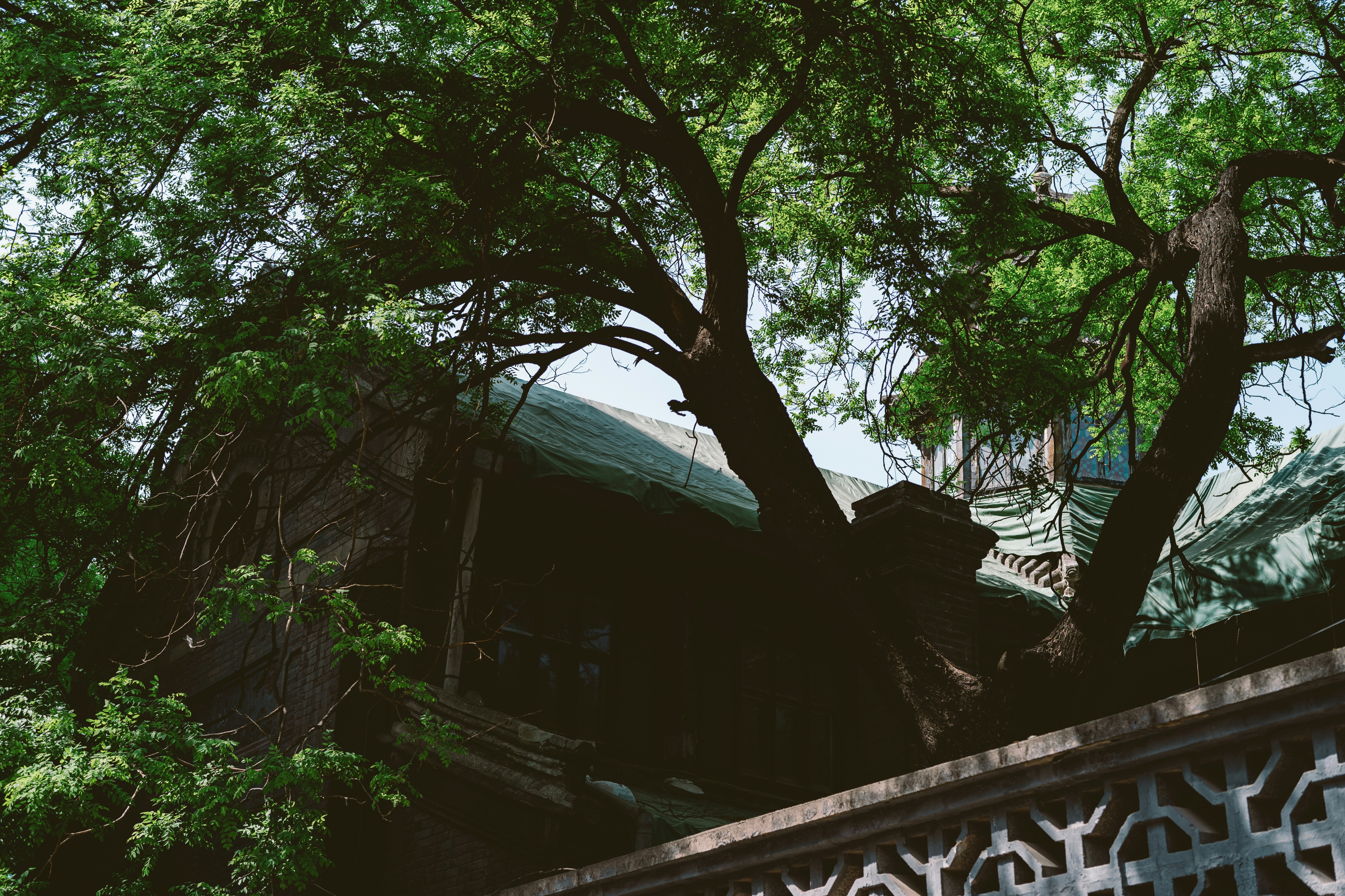 Photo by tommaomaoer