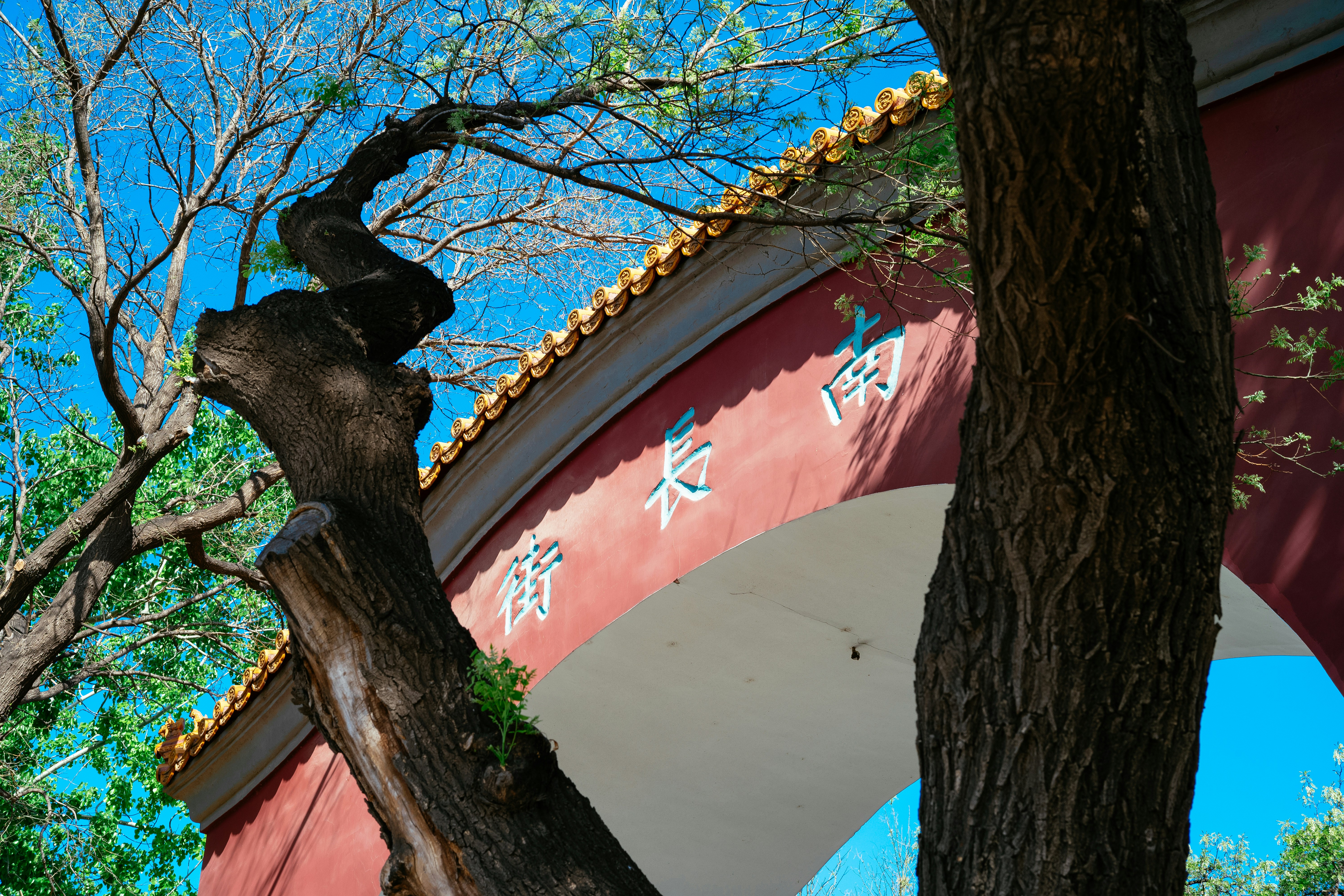 Photo by tommaomaoer