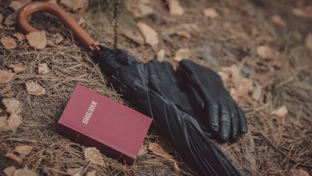 a pair of shoes on the ground