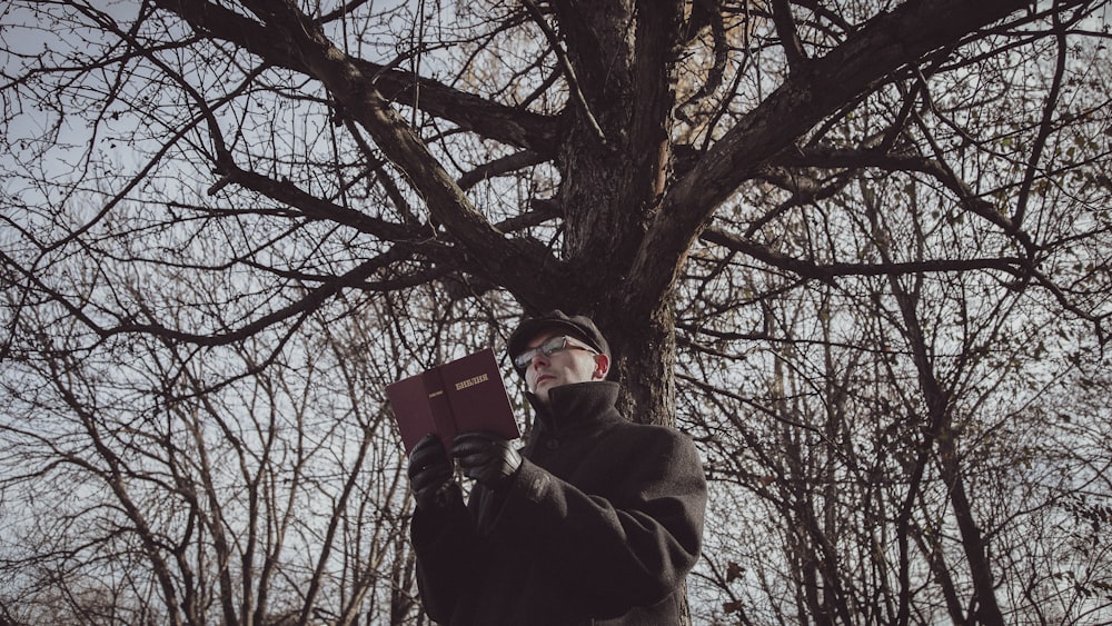 Un hombre sosteniendo un libro en un árbol