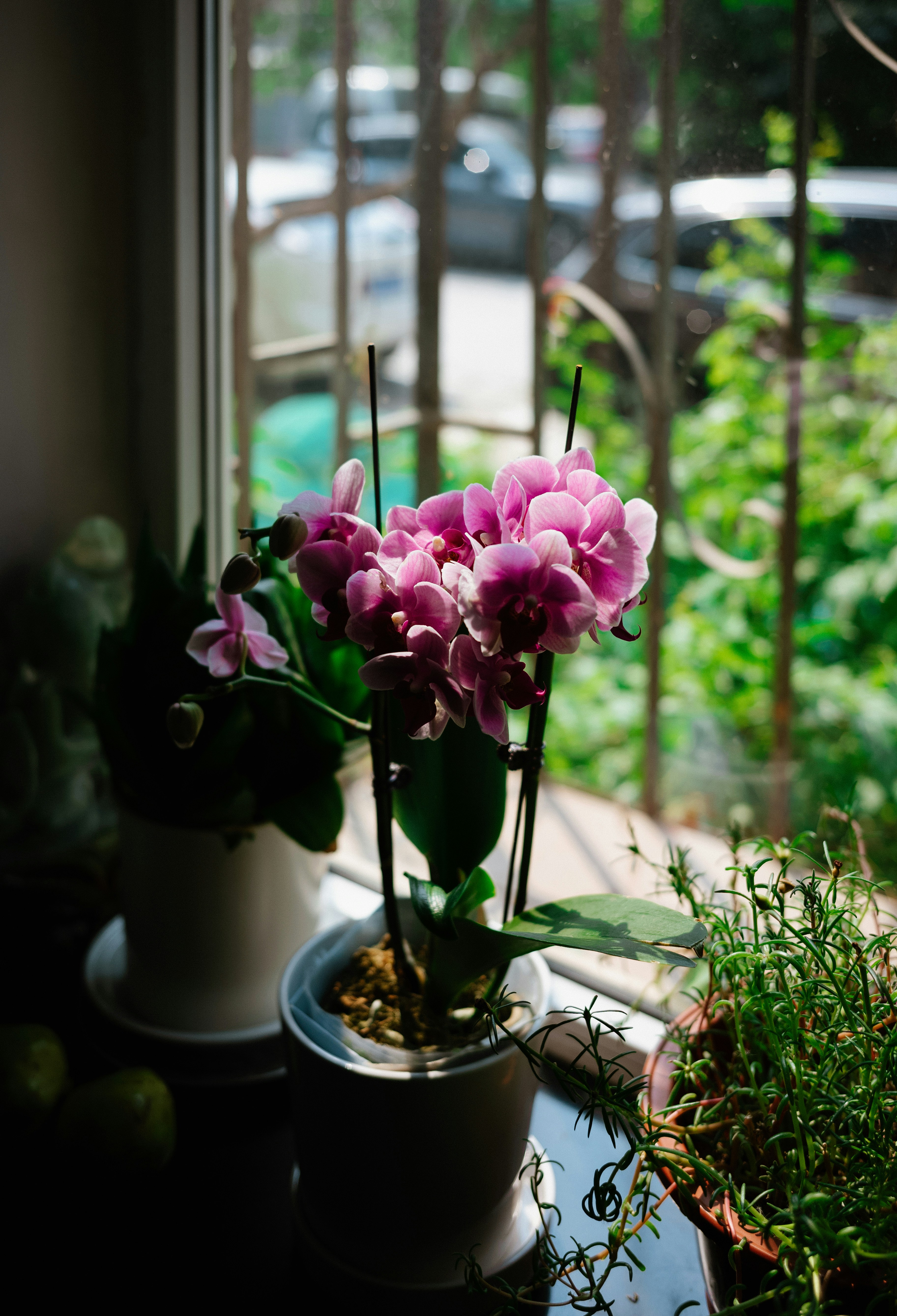 Photo by tommaomaoer