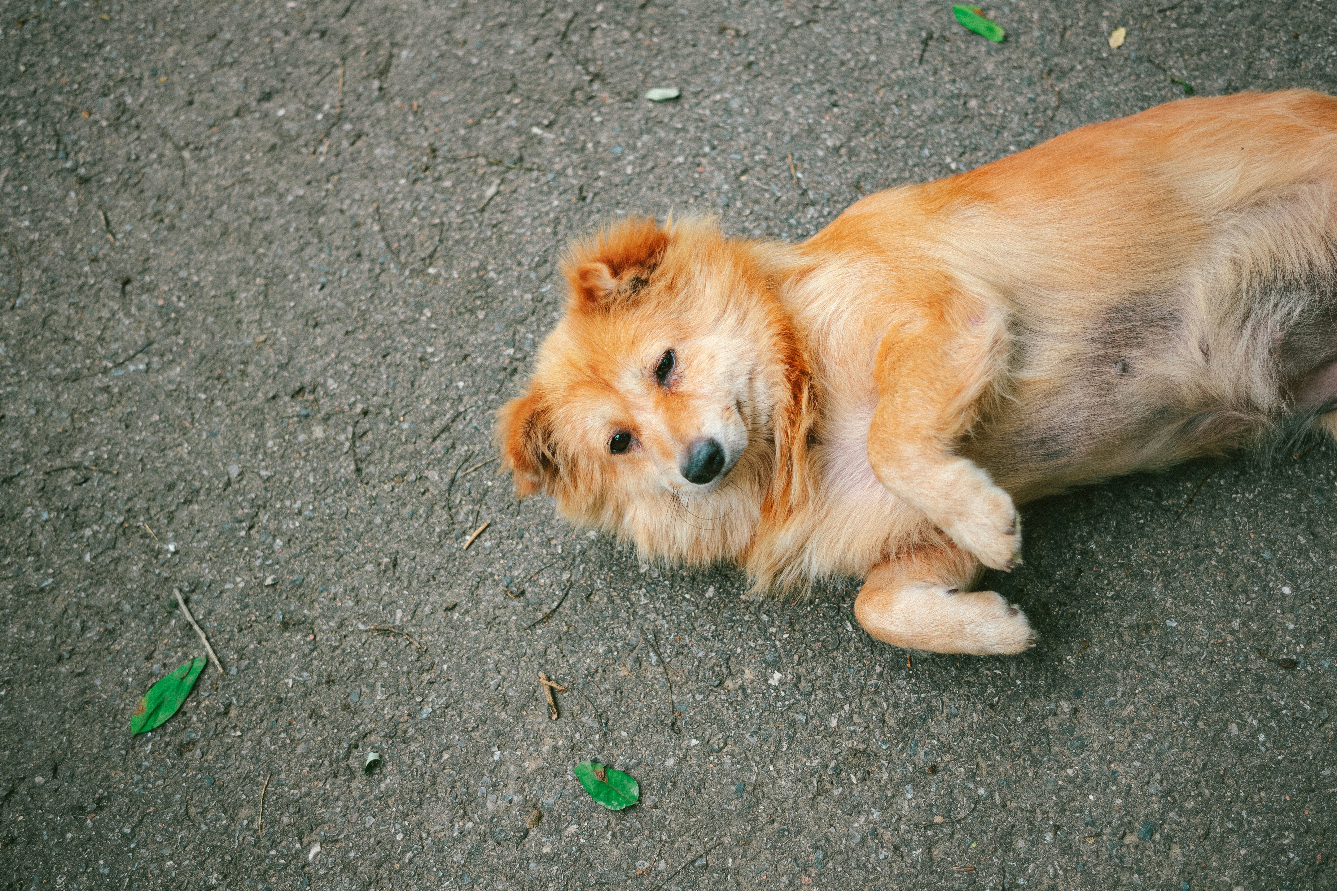 Photo by tommaomaoer