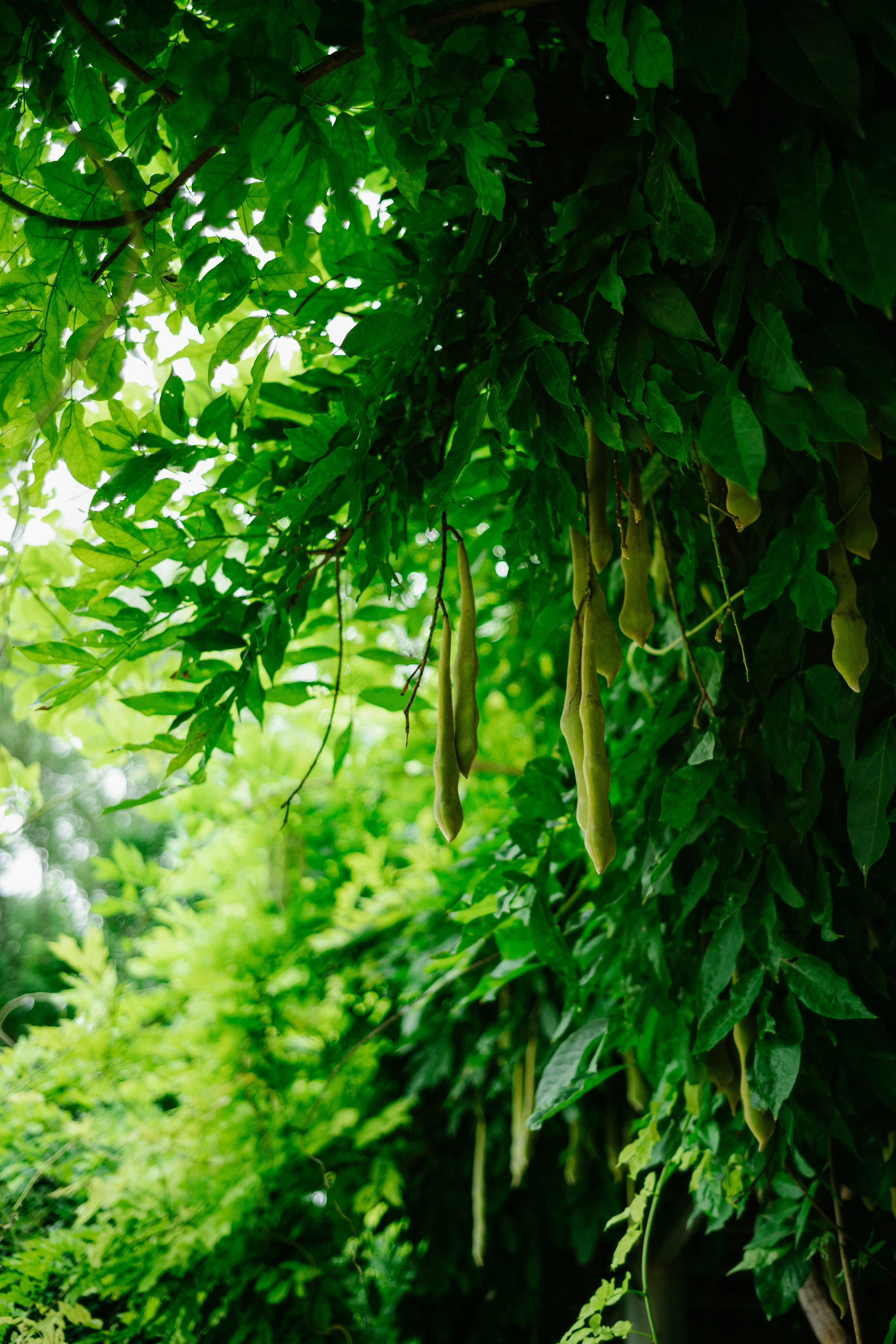 Photo by tommaomaoer