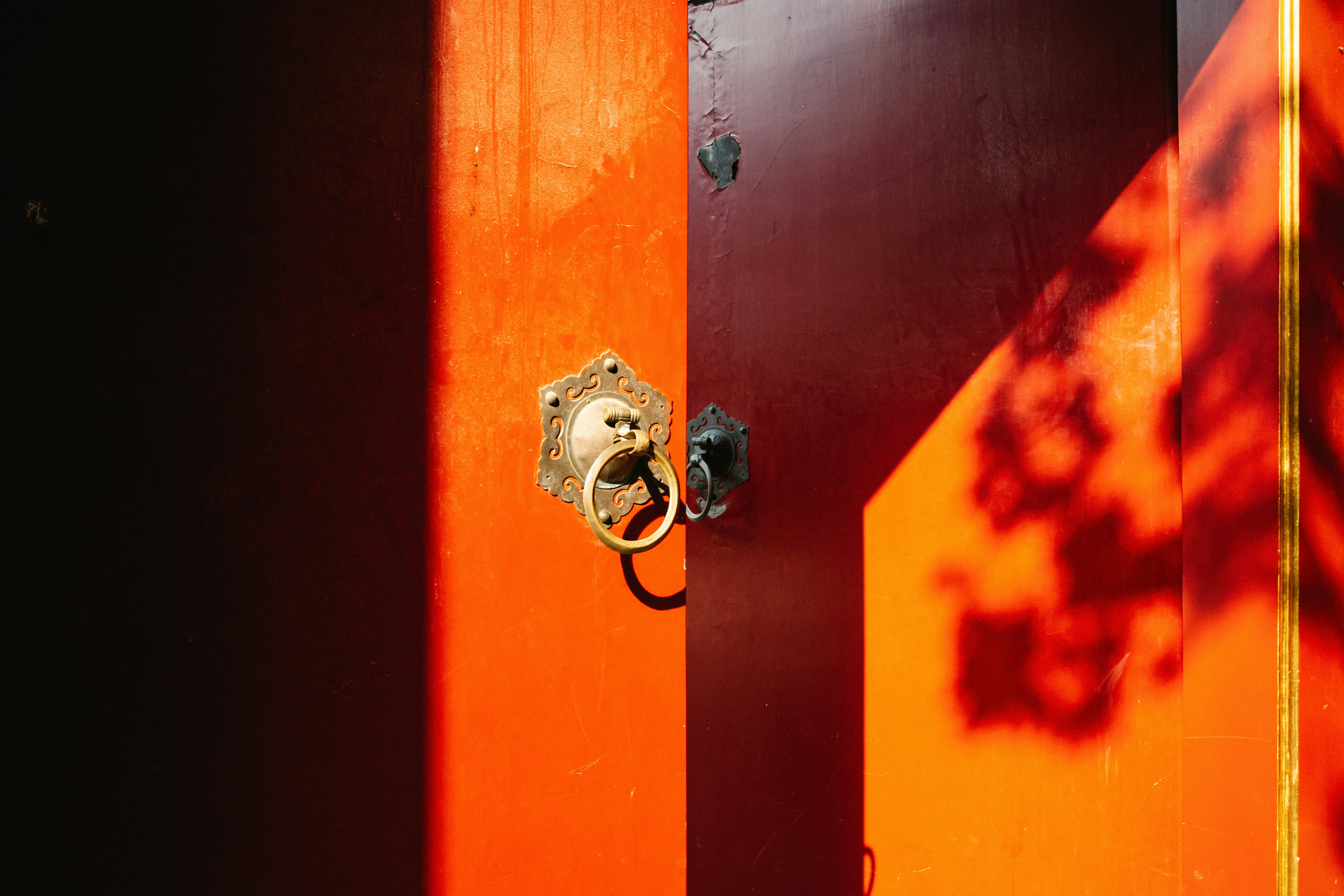 Photo by tommaomaoer