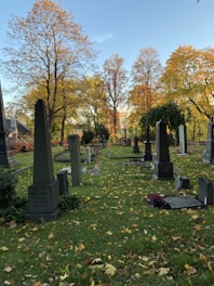 A person raking fallen leaves in a peaceful cemetery on a sunny autumn day.