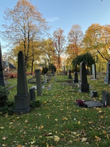 A person raking fallen leaves in a peaceful cemetery on a sunny autumn day.