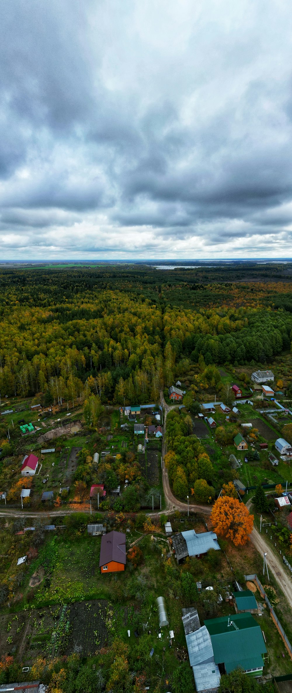 a group of houses surrounded by trees