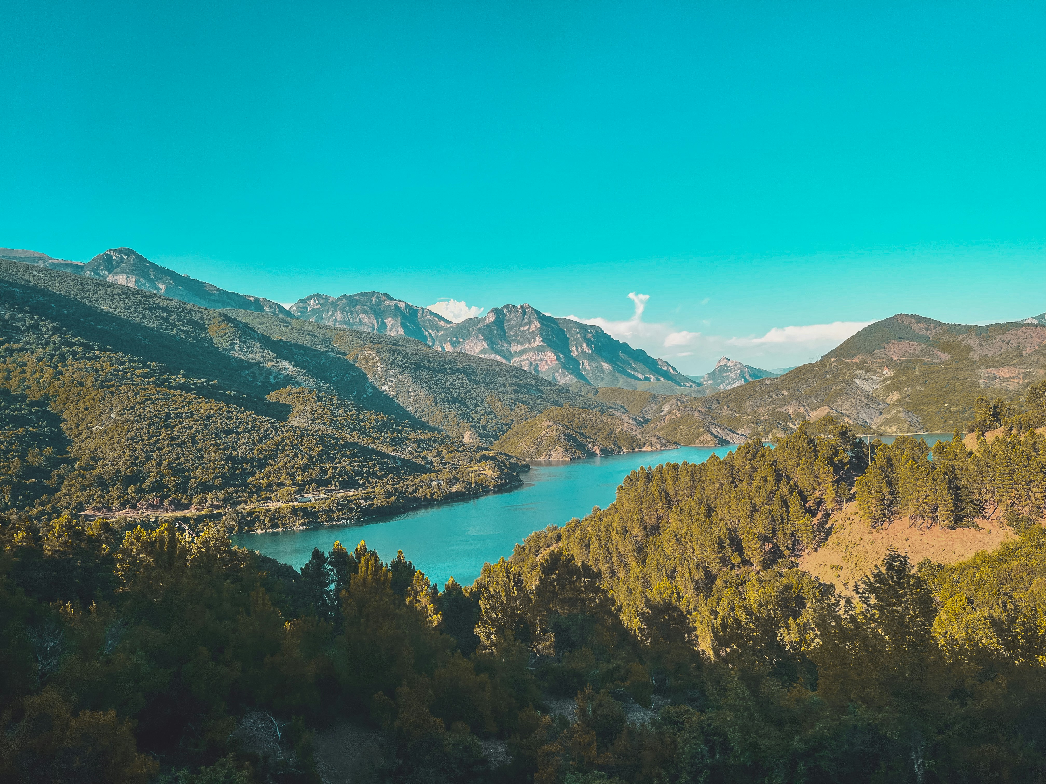 Photo by arteidamjeshtri