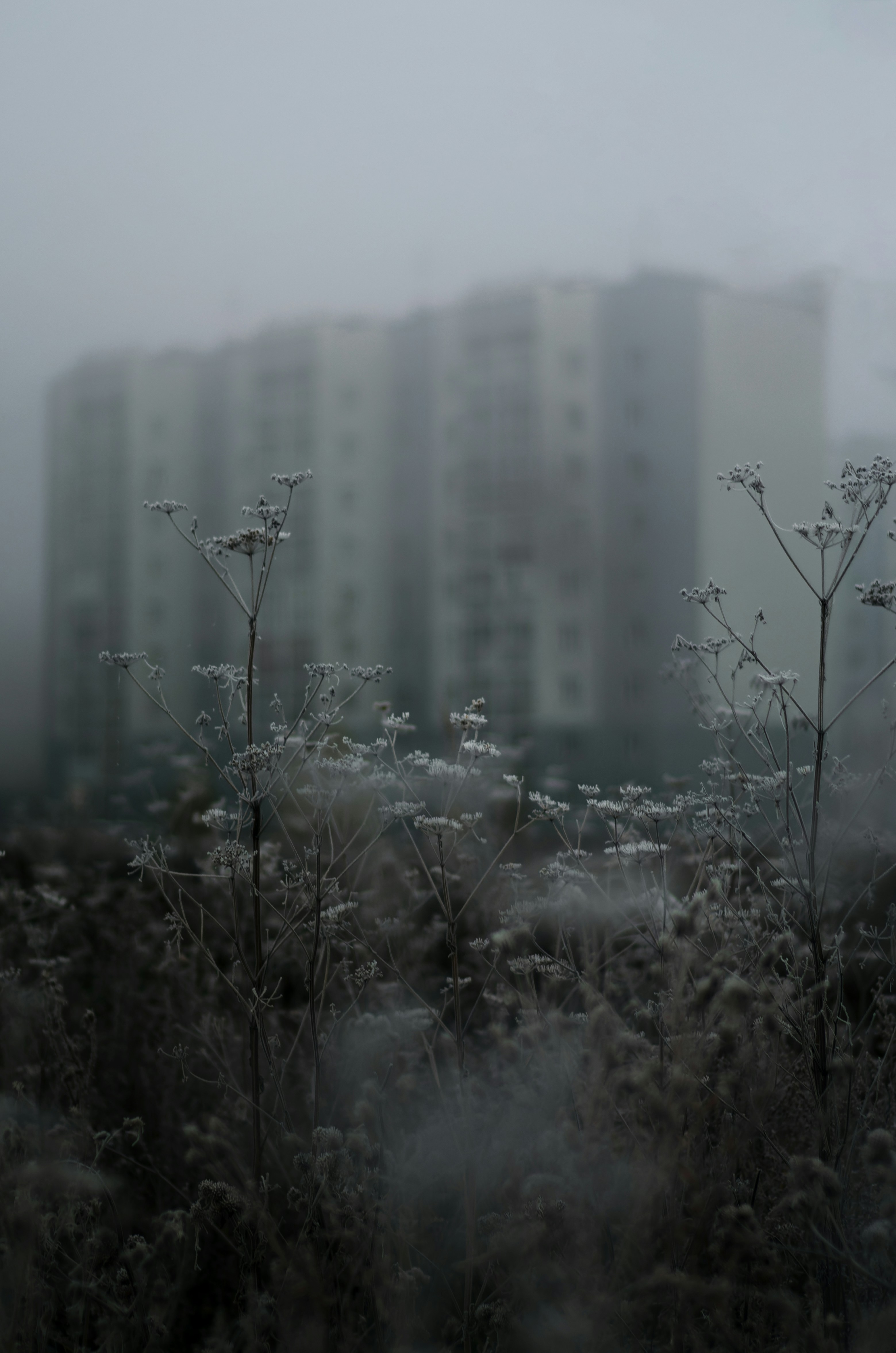 Photo by litvinov