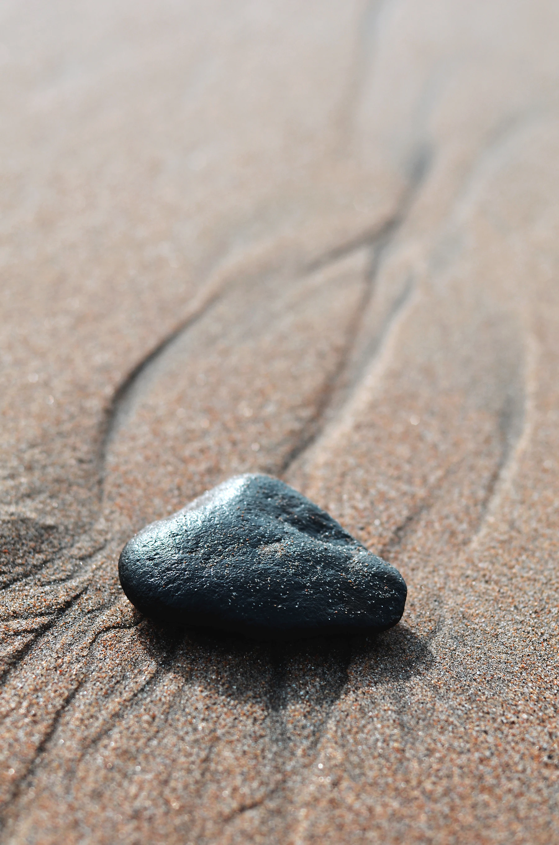 A small black stone resting on rippled wet sand