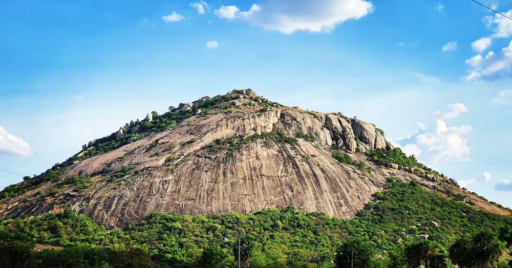 a rocky mountain with trees