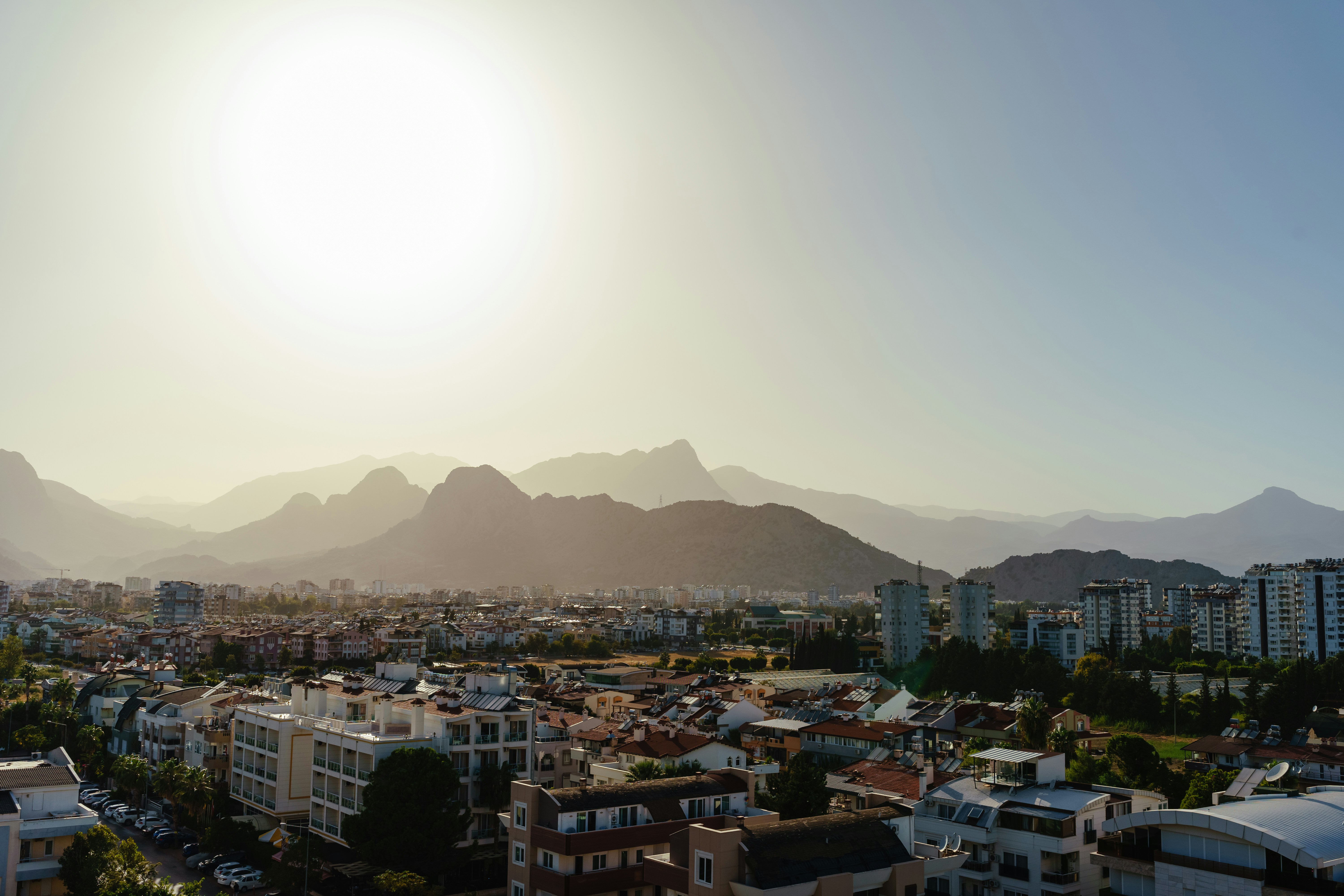 Photo by igorharrier