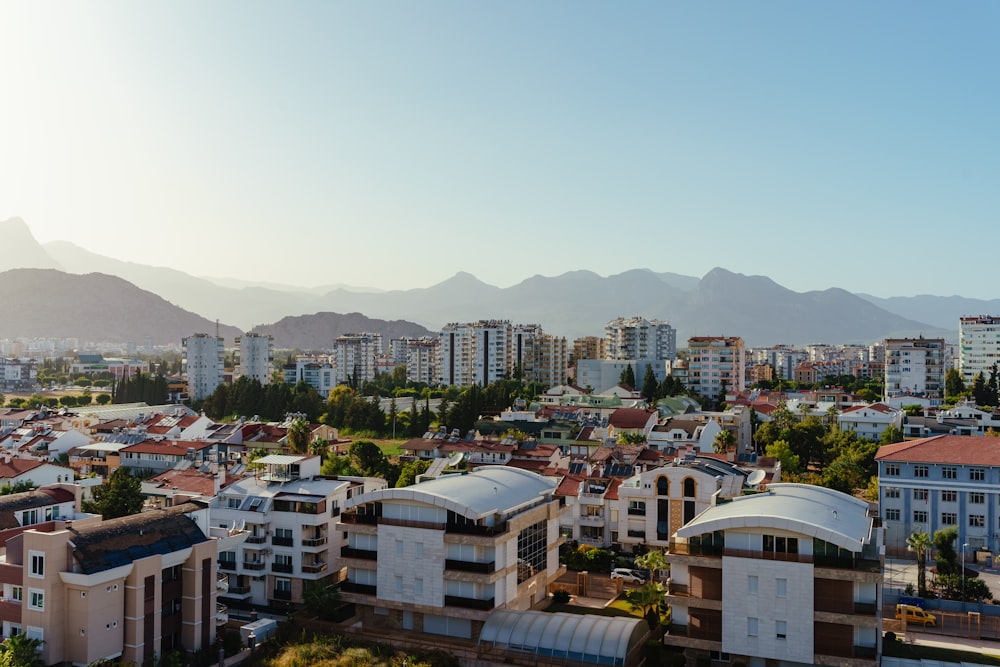 a city with many buildings