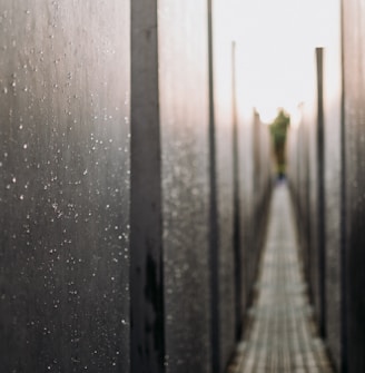 a person walking on a bridge