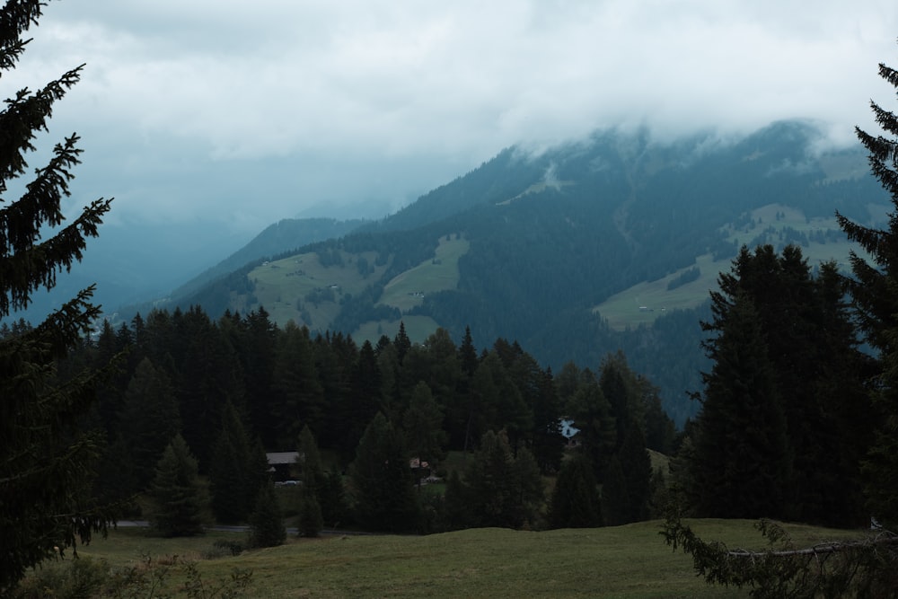 a valley with trees and mountains in the background