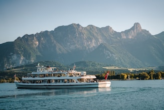 Public boat cruise on Lake Brienz during a private scenic lake and mountain day trip