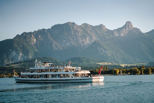 Public boat cruise on Lake Brienz during a private scenic lake and mountain day trip